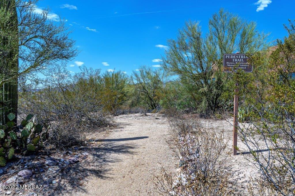 Preserve II at Dove Mtn (183-305) - Residential