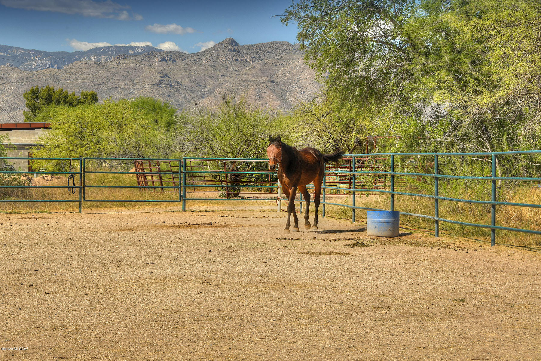 Enchanting 15 acre equestrian estate nestled in a Mesquite Bosque located in sought after Tanque Verde Valley. Property includes charming ranch-style main home 2 guest houses, contractor shop & separate Guest Quarters above barn. Perfect for multi-gen living, private home/office/classroom. If you have to stay home, this is the home to stay in. Boasts expansive horse facilities w/commercial variance. 20 large show-stopping stalls w/10 tack rooms, a feed room & hay barn. Barn designed w/repurposed materials from Rillito Horse Track. Round pen, 4 turnouts & main arena make this a complete equestrian center. Plus a 2400 sq. ft. commercial shop. This property has it all. One-of-a-kind in the Old Pueblo! See MORE tab... Total living area of property = 5353 sq. ft. Main house totals 2781 square feet. The 3 bedroom 2 bath homestead Inc. wood flooring, cook's kitchen, formal dining space & large storage room off the laundry. Hand-crafted doors, wood beams & new Pella casement windows compliment home steeped in historic lore of the area. Amazing views in all directions, privacy & serenity. Guest house 1: light & bright w/1 oversized bedroom, full bath which boast jacuzzi tub & separate shower. Updated kitchen w/granite countertops and tiled floors throughout. Guest house 2: 2 bedrooms 1 bath, w/962 s/f, has its own charm. Original hardwood floors, fire place, 2 patios & outdoor fireplace. Great for entertaining. Barn Apt. Inc. 1 bedroom / 1 bath above barn. It boasts amazing views w/ 2 patios, full kitchen, eating room & living room. Stables ergonomically designed to let natural desert breezes from the Aqua Caliente Arroyo flow through; keeping horses and equestrians cool and calm. 20 16'x40' stalls & 20' breezeway. Don't miss the restrooms, laundry, utility room & sink. Also included in 15 acres is a 2400 s/f. commercial contractors shop w/ commercial lift & 3 garage openings. Don't need the extra-large workshop? Make the 2400 s/f your own...RV garage or 6 car garage? The possibilities are endless! Welcome Home!