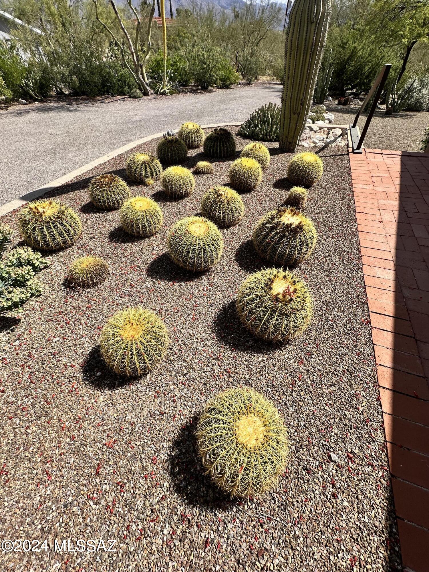 Flecha Caida Ranch Estates #10 - Residential