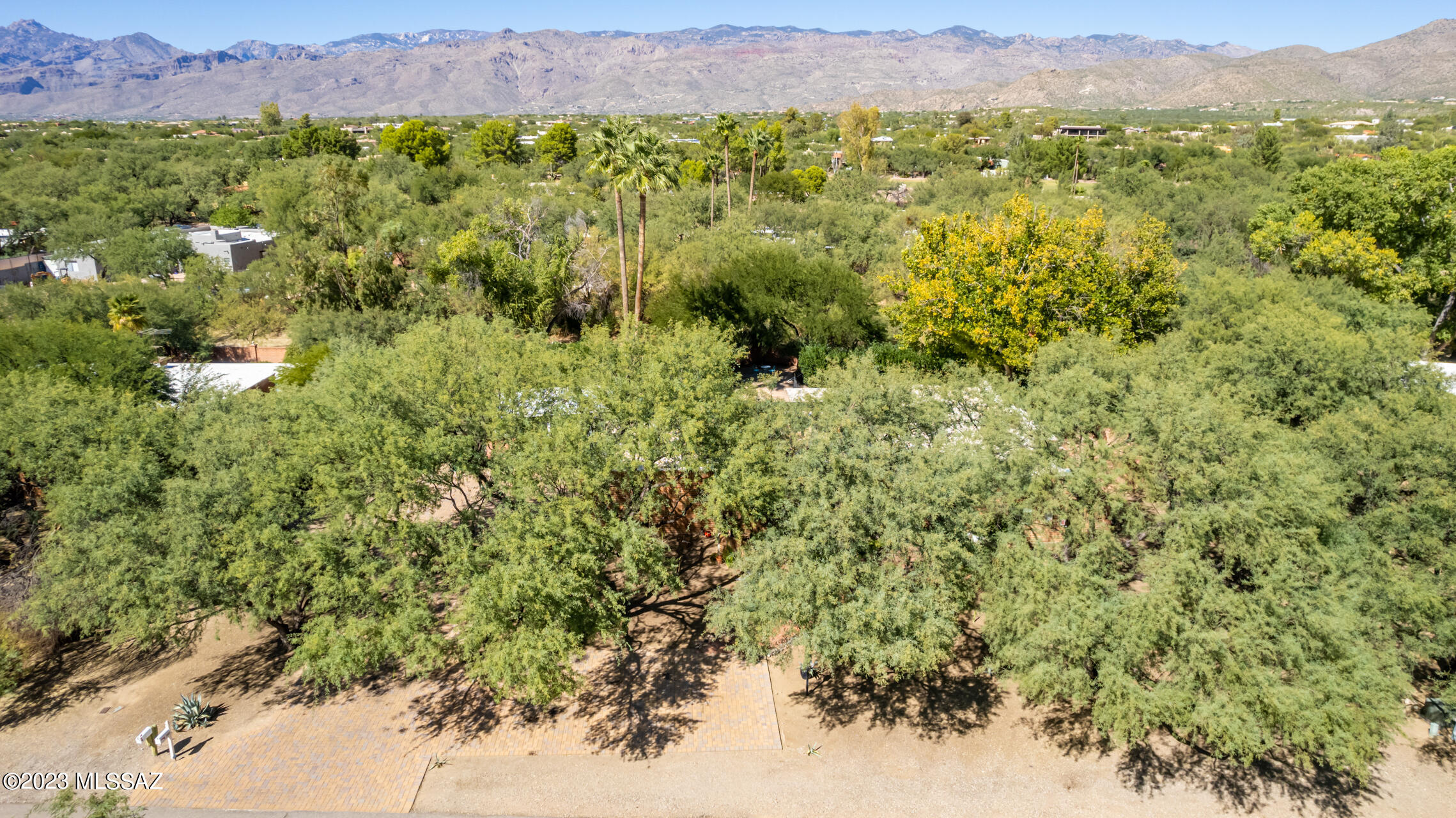 Forty Niners Country Club Estates - Residential