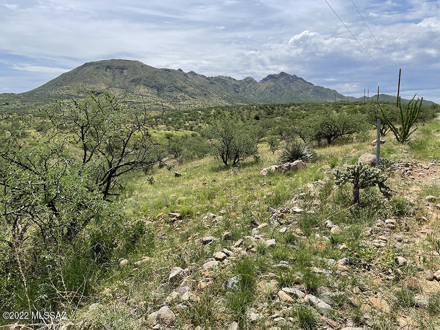 Amazing opportunity for vacant land in East Rio Rico with incredible views! Generous sized lot in East Rio Rico avaiable to build your custom home. Enjoy quiet road with magnificent Mt San.Cayetano and Santa Rita Mountain views. Less than 5 miles from freeway and nearby schools and shopping, the location has easy access.