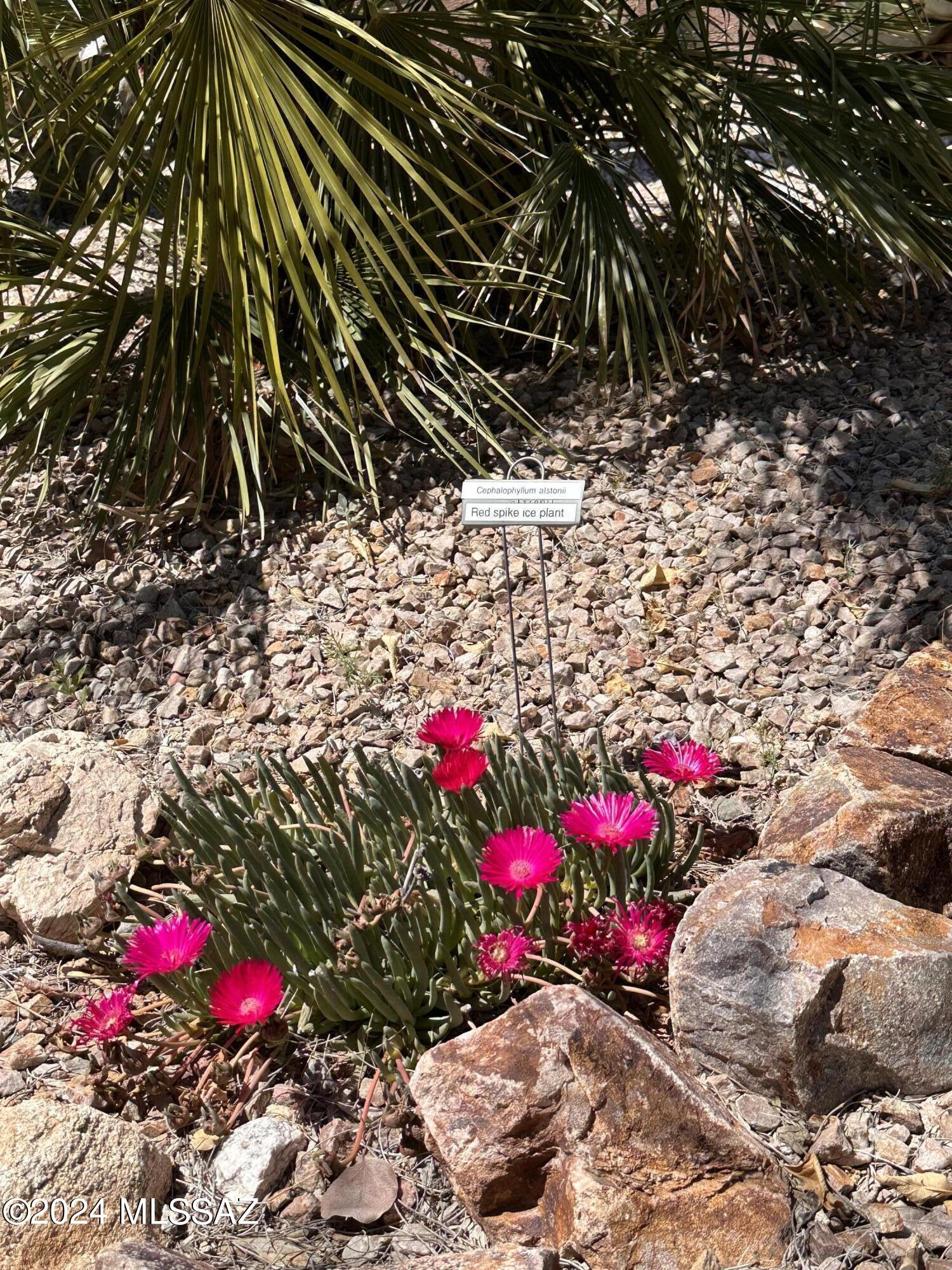 Snyder Canyon Estates (1-20) - Residential