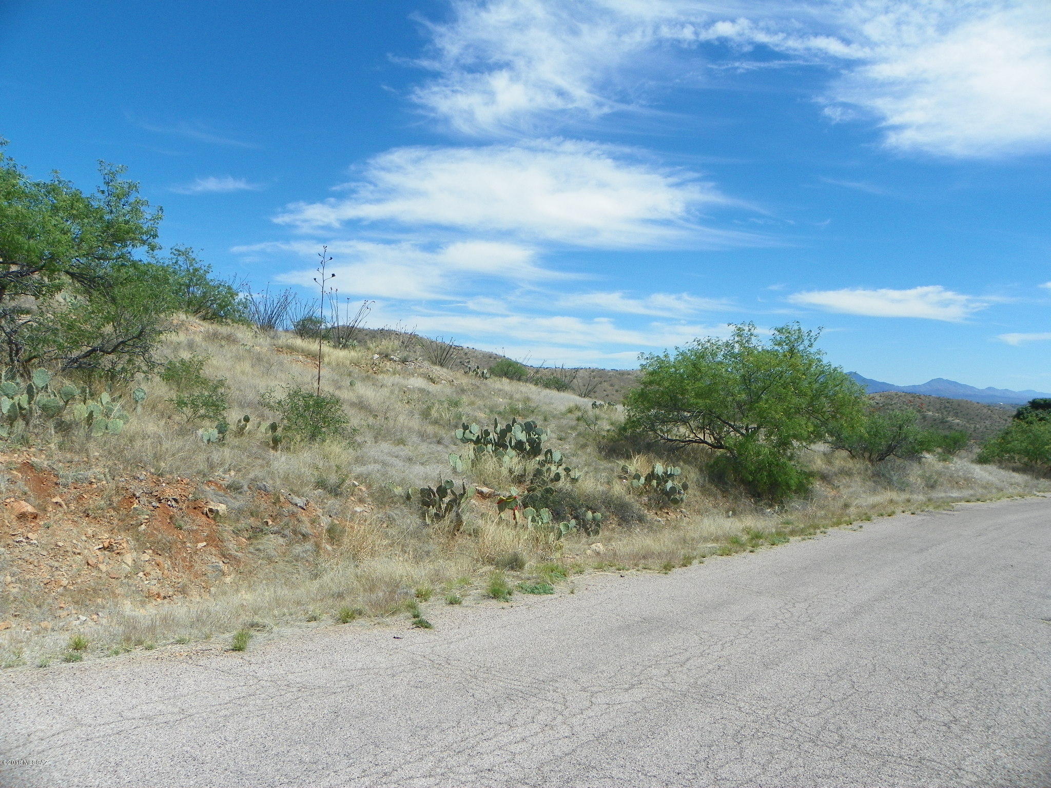 Rio Rico Ranchettes 3 - Land