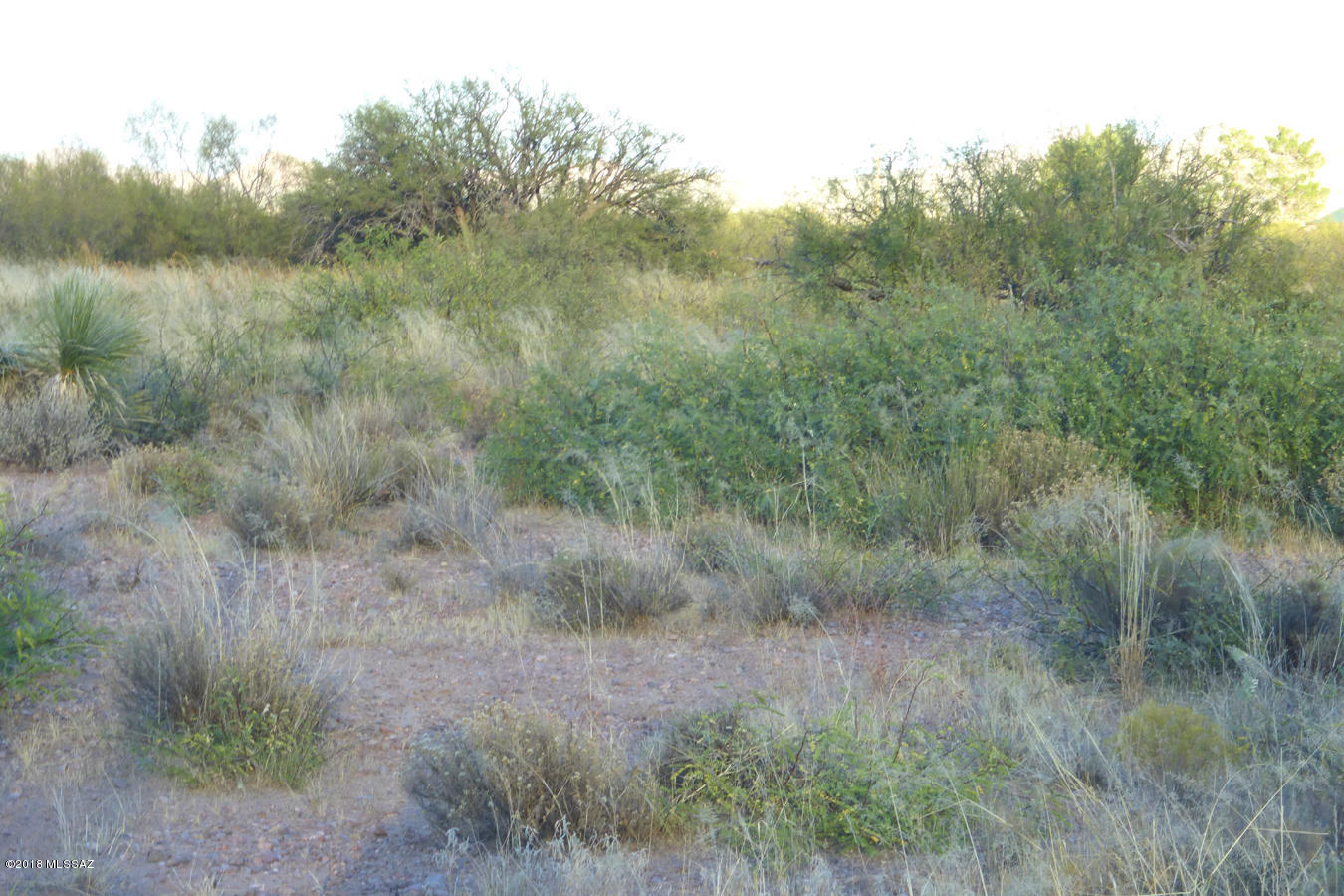 Out Of Pima County - Land