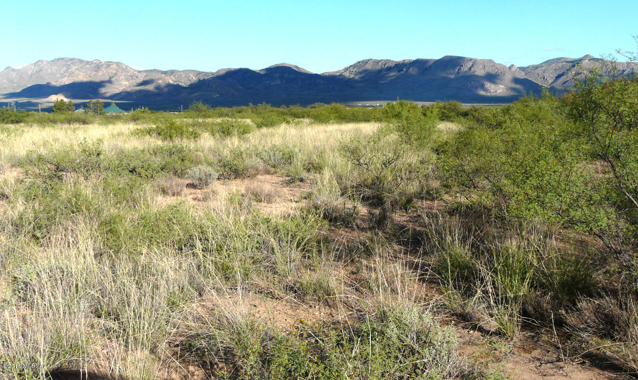 Forty-two nearly level acres on paved, county-maintained W Portal Road, power and phone along southern boundary, SELLER WILL CARRY! Verizon cell reception, southern lot line has phone line for DSL, cable and landline. Partial fencing. Desert vegetation and great mountain views. Lot is about 1/2 mile deep, with building sites at the north end for privacy and quiet. Plenty of room for your horses, garden and dream house. Ride your horse across Portal Road and onto Mesquite Road, all the way to the Coronado National Forest! Parcel may be split into 5 lots per current county zoning regulations. No HOA, no deed restrictions. Well and septic required. Permit will be needed to create physical access from county road (W Portal Road).
 31.888067°/-109.071652°650 .
