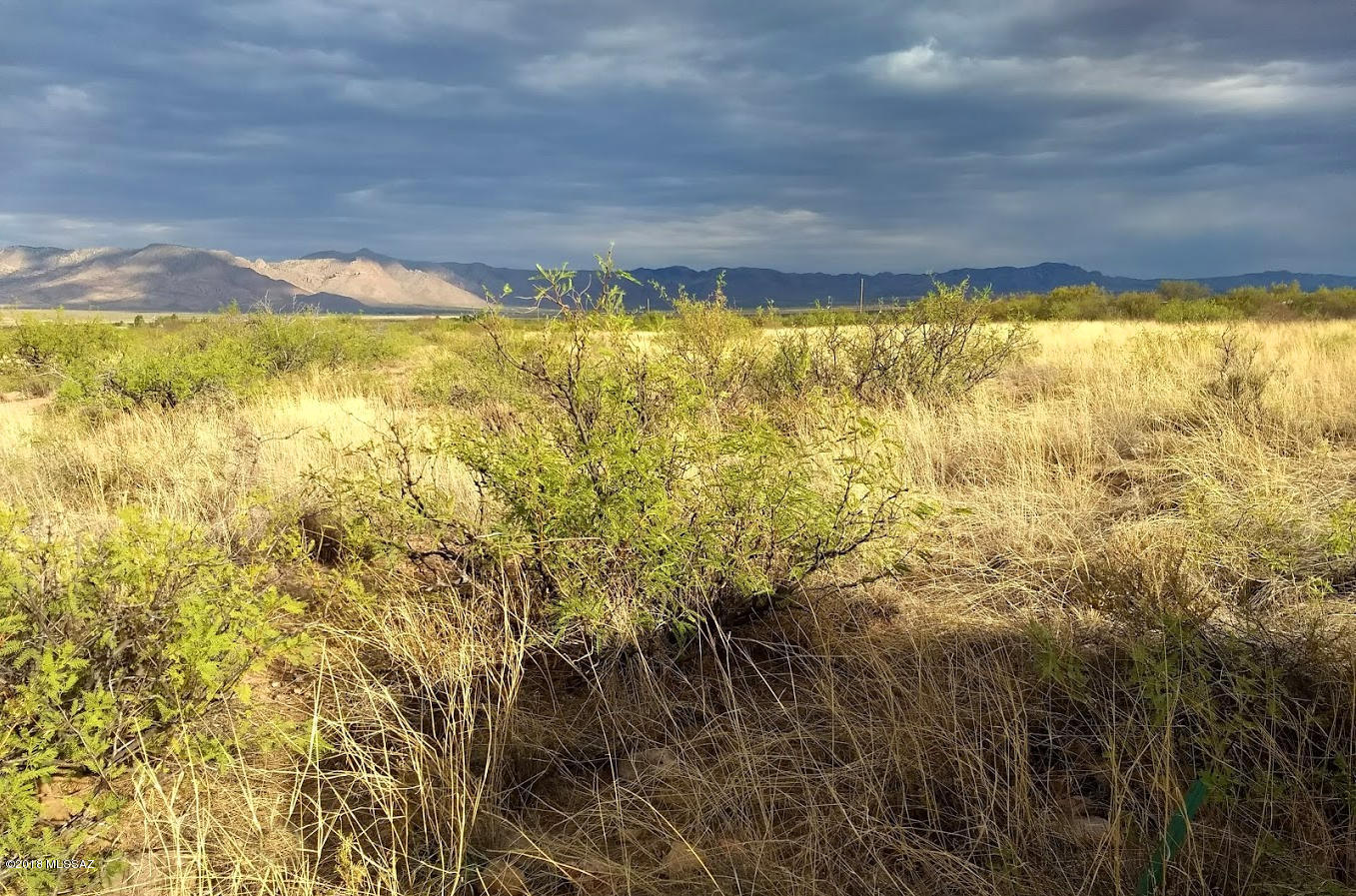 Out Of Pima County - Land
