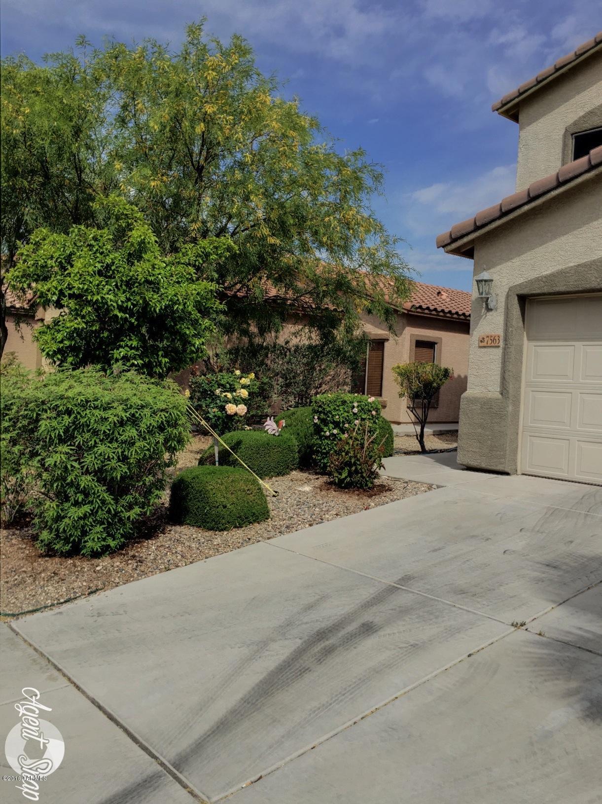 Sycamore Park Village 5 (1-219) - Residential Lease