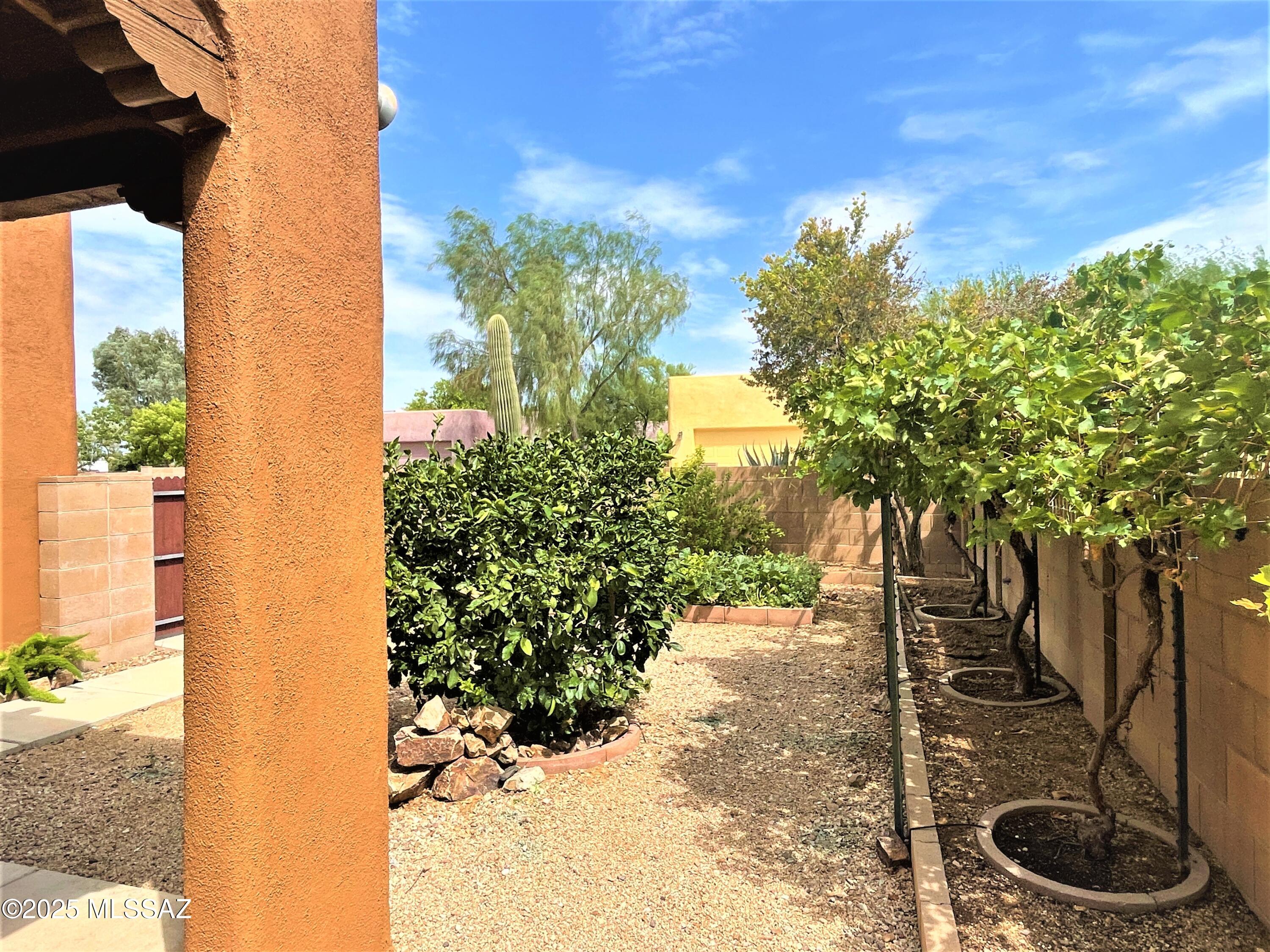 Civano 1 (166-527) - Residential Lease