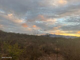 Aliso Springs - Land