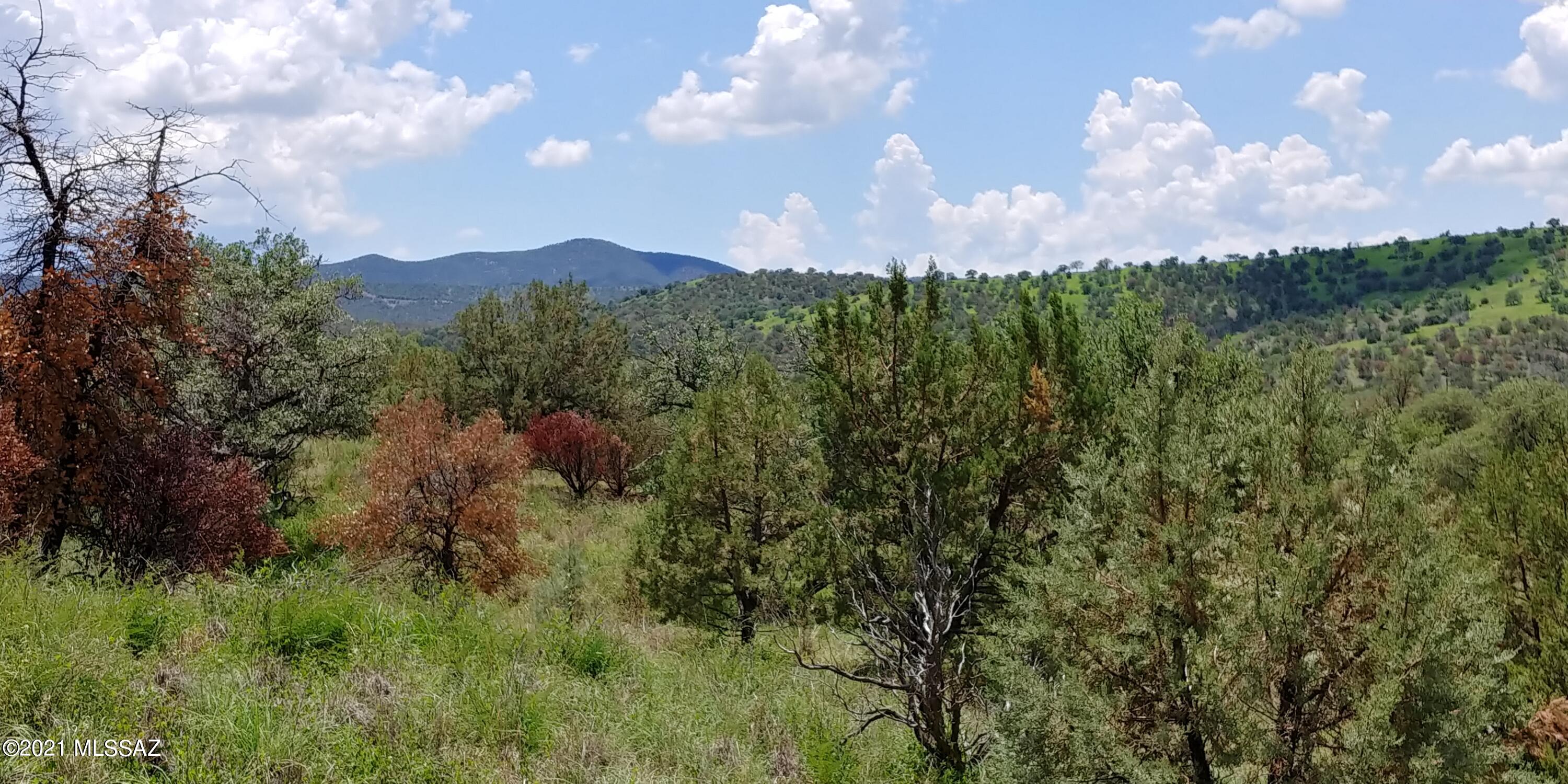 Thunder Mountain Estates - Residential