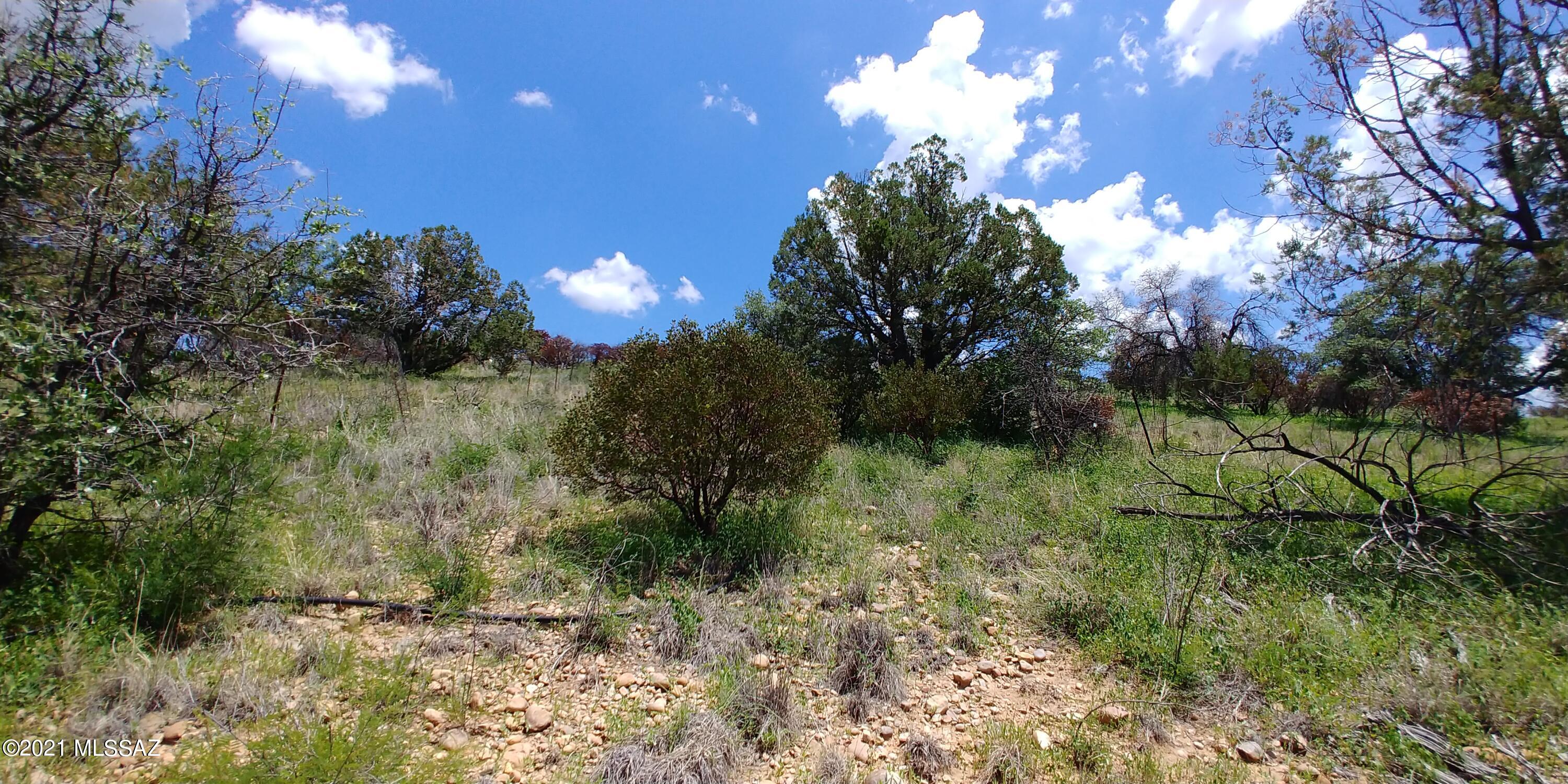 Thunder Mountain Estates - Residential
