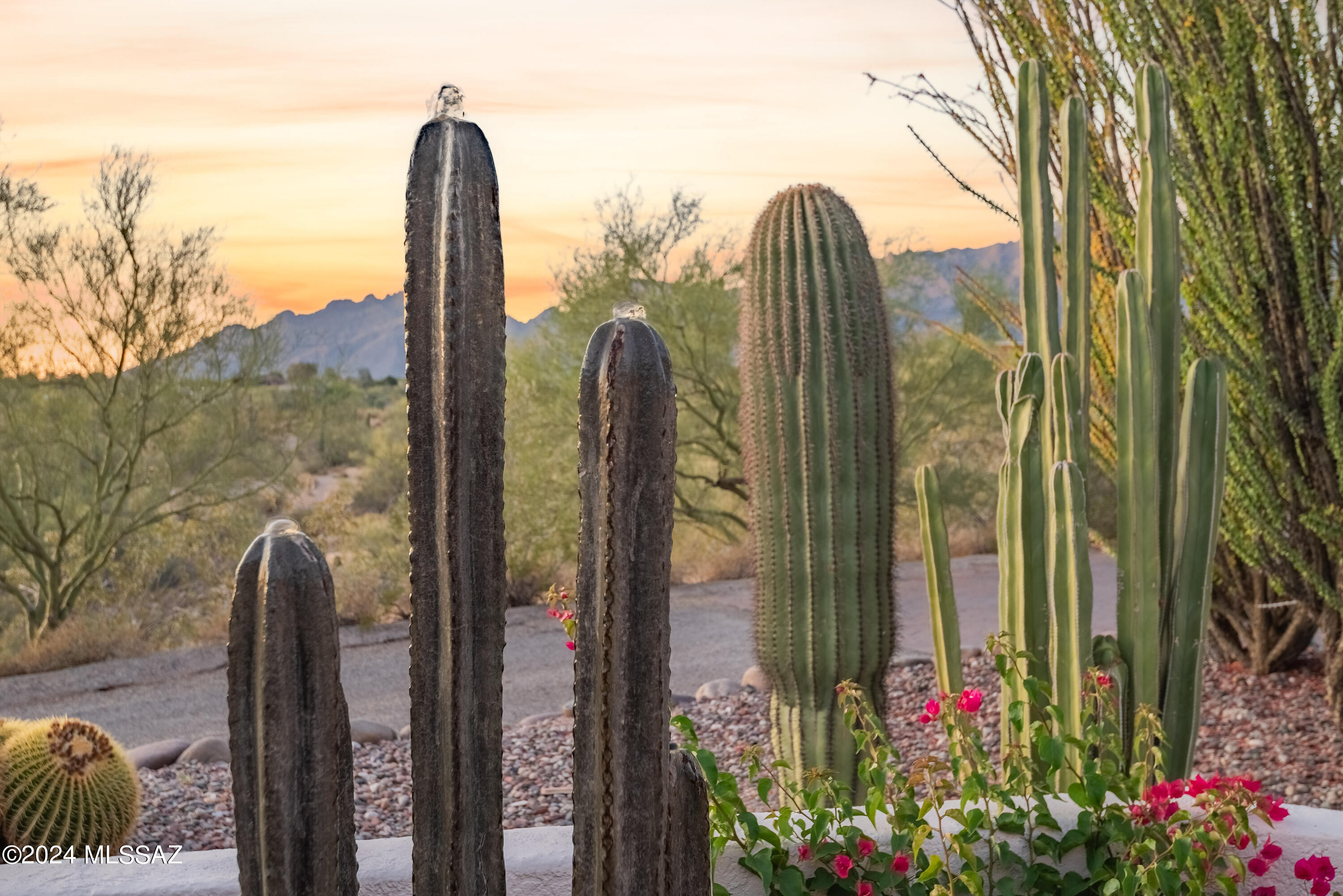 Catalina Foothills Estates NO. 2 - Residential