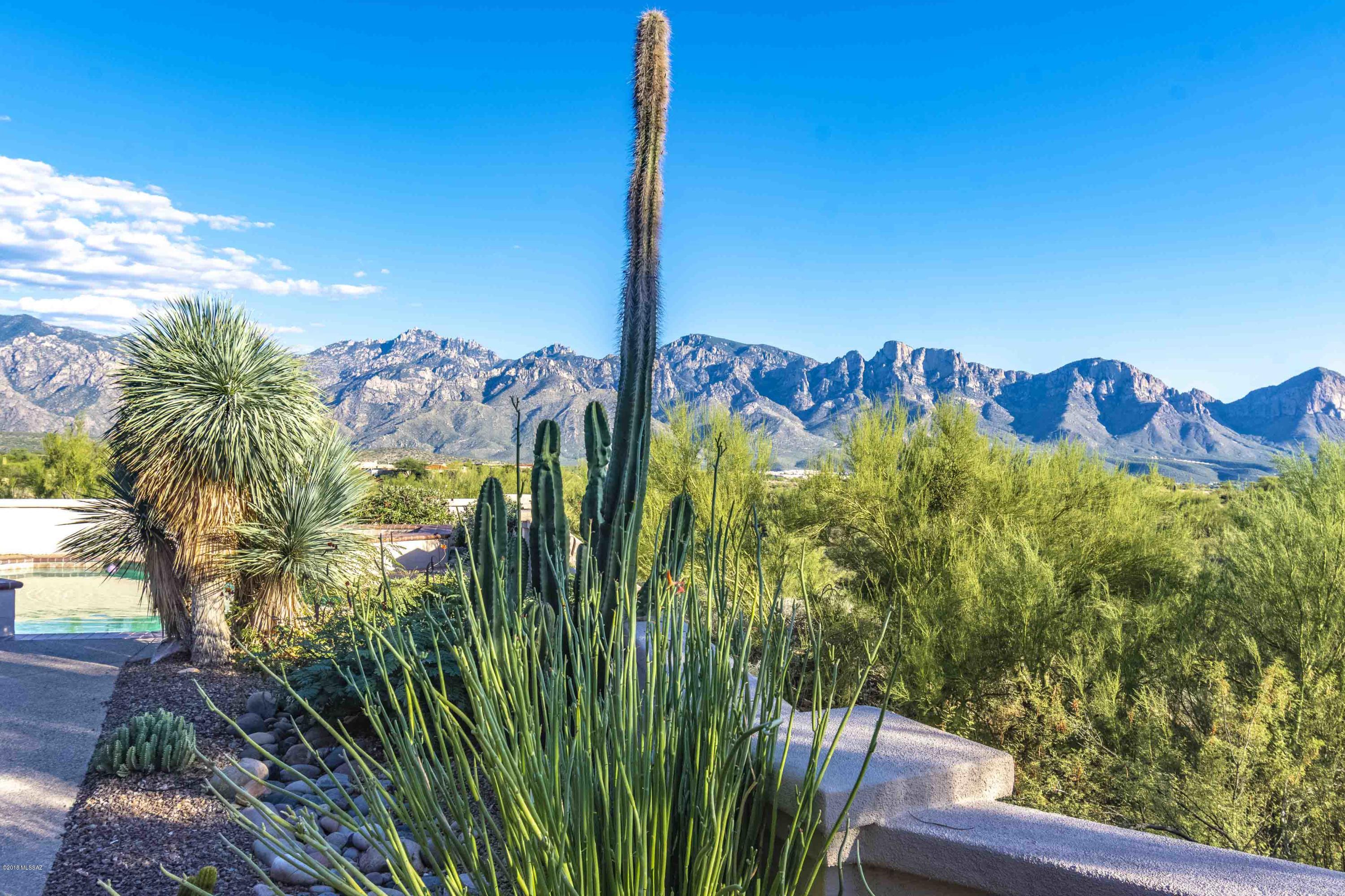 High Mesa (The Estates At) - Residential