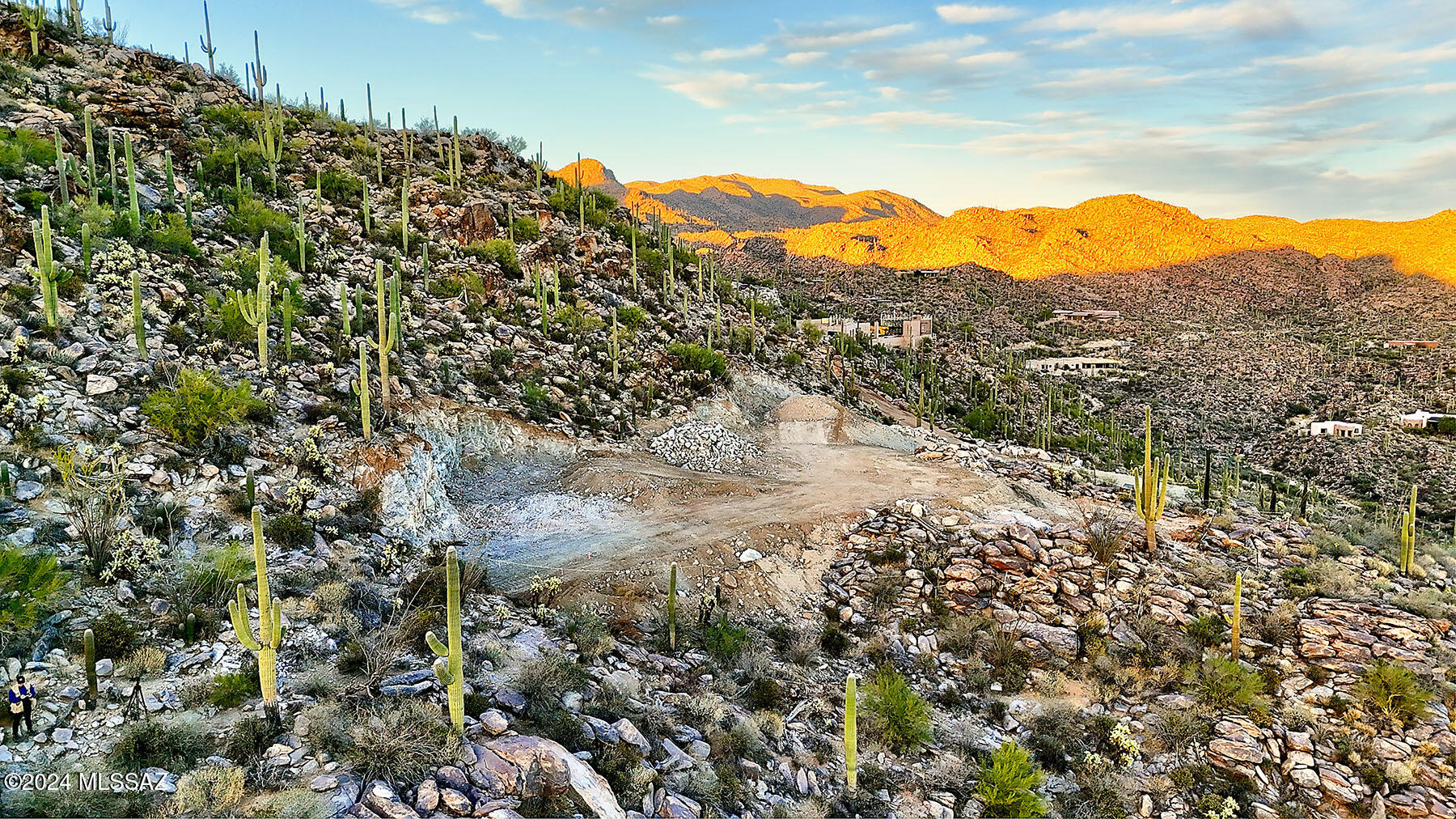 Saguaro Ranch II (L 50-51;53-65) - Land