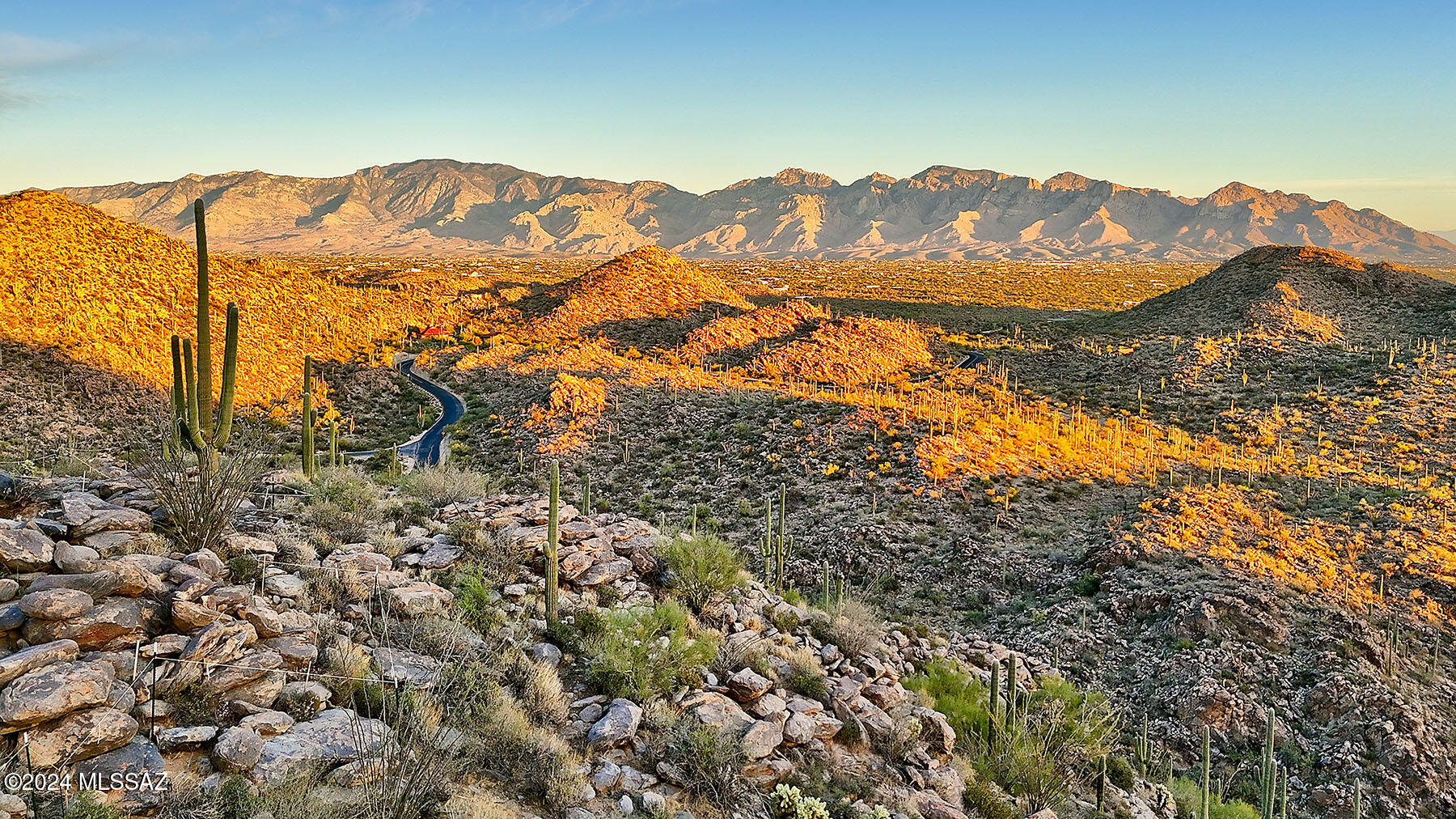 Saguaro Ranch II (L 50-51;53-65) - Land