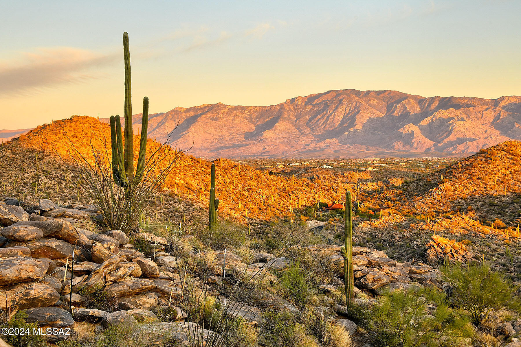 Saguaro Ranch II (L 50-51;53-65) - Land
