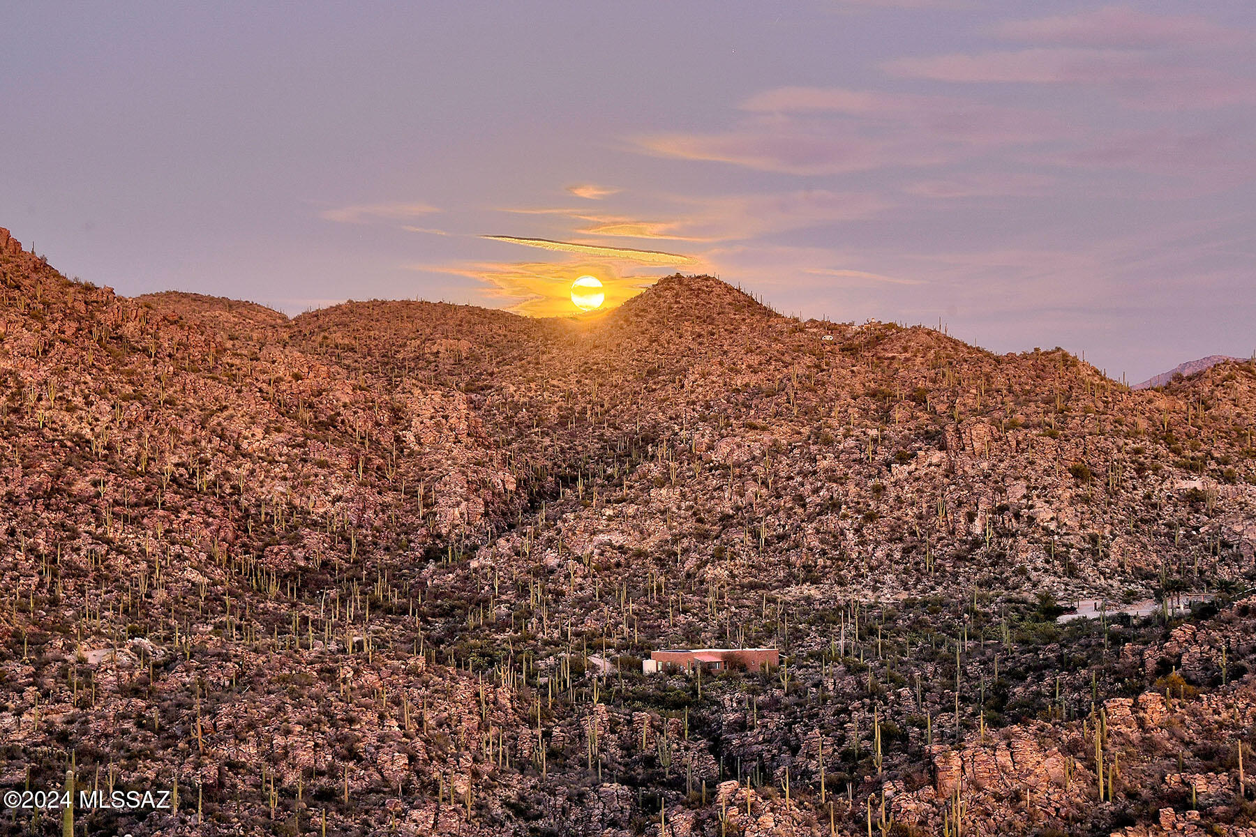 Saguaro Ranch II (L 50-51;53-65) - Land