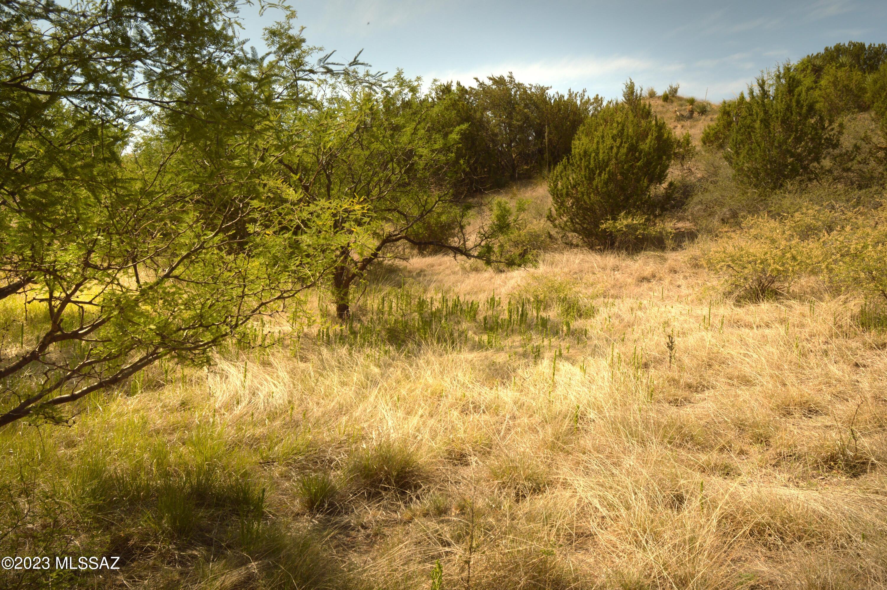 Three Canyons - Land