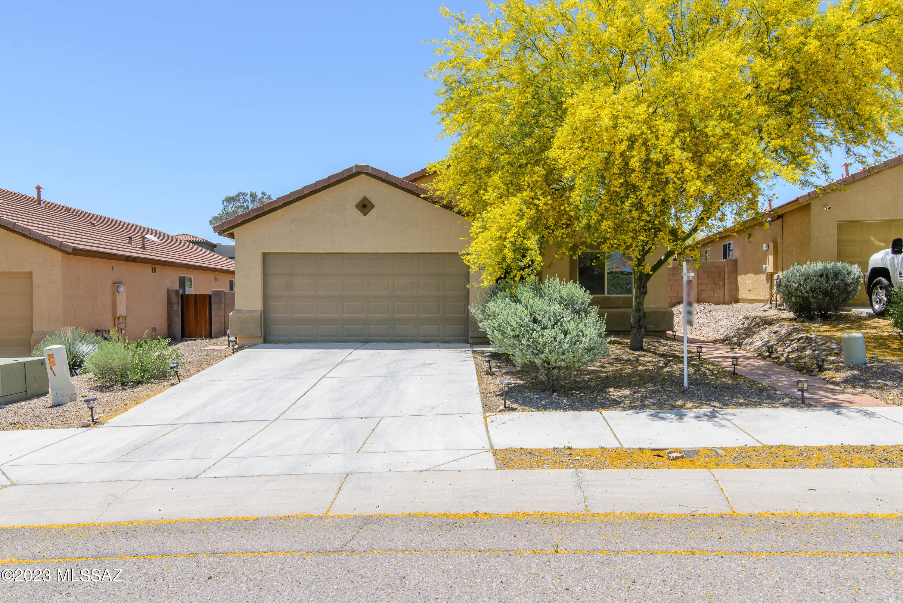 Sonoran Blossom - Residential