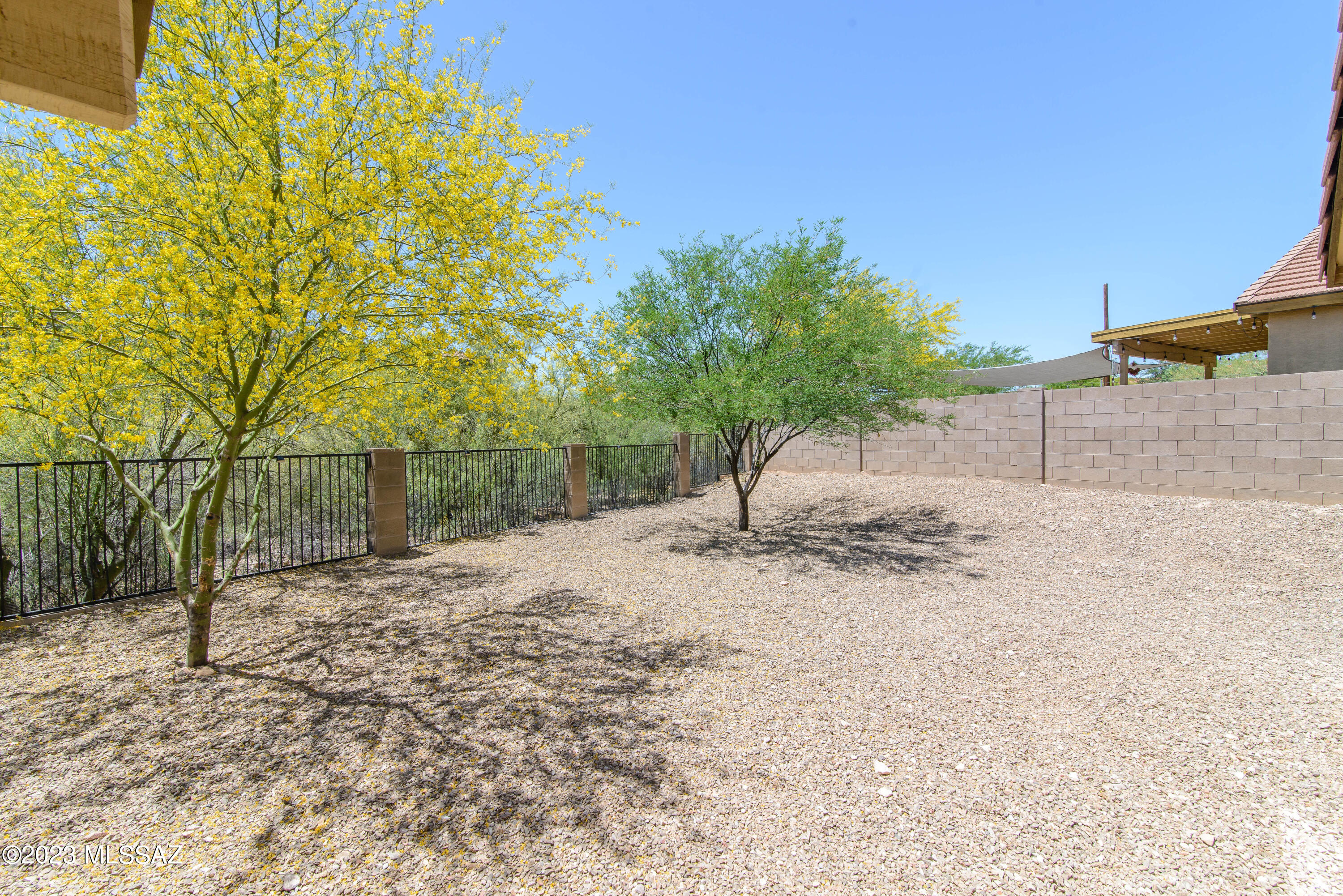 Sonoran Blossom - Residential