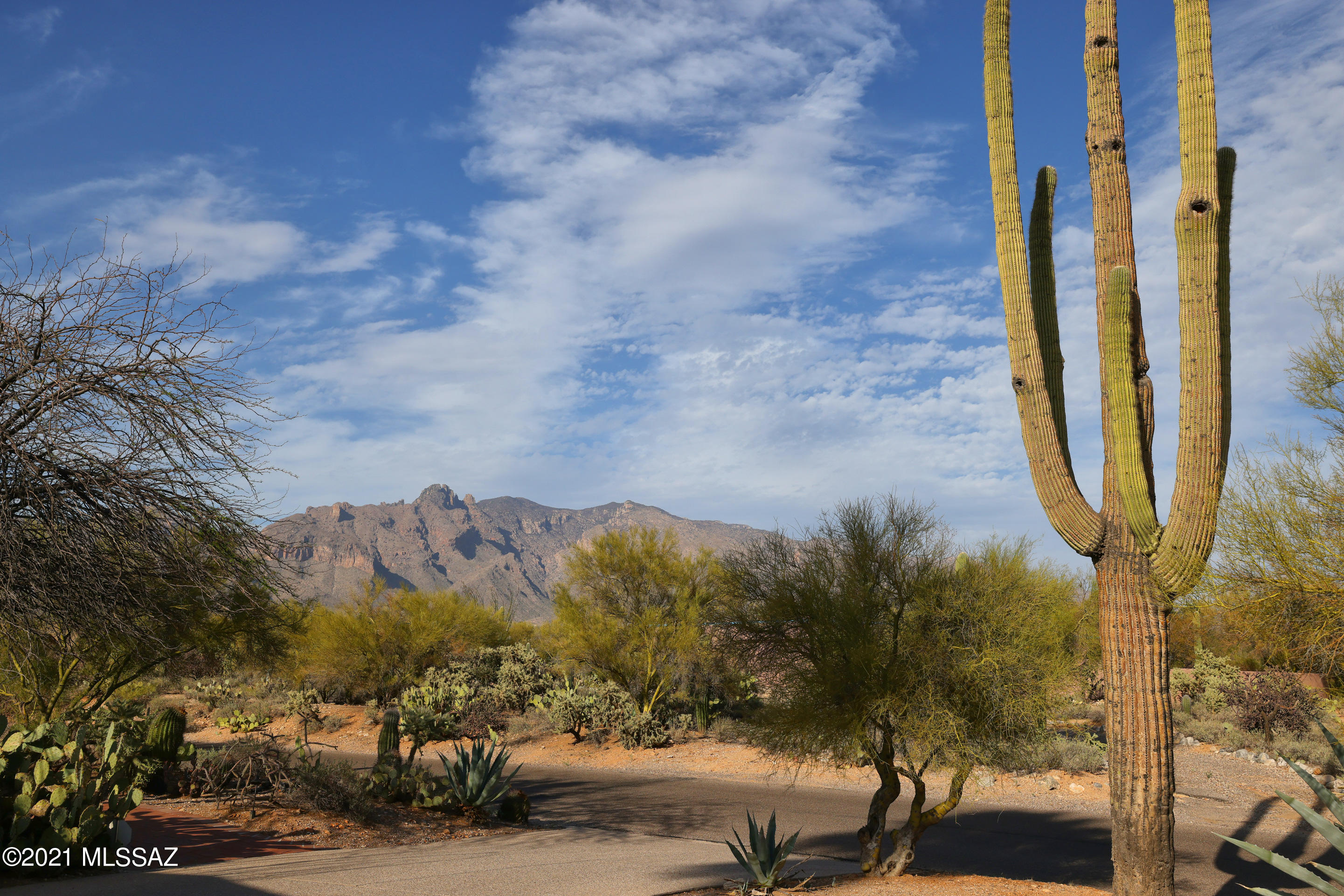 Catalina Foothills Estates NO. 7 - Residential