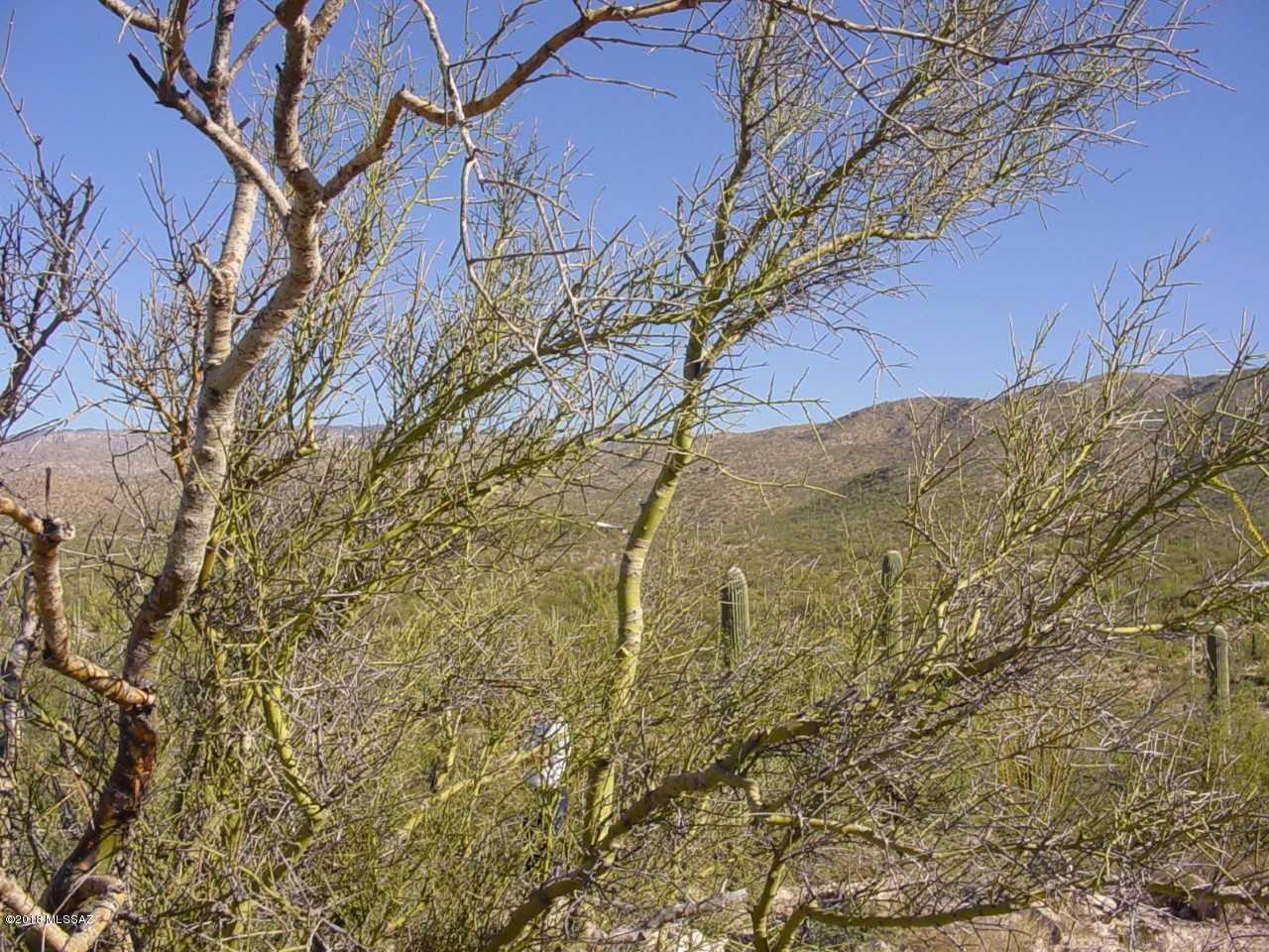 La Cebadilla Estates (1-161) - Land