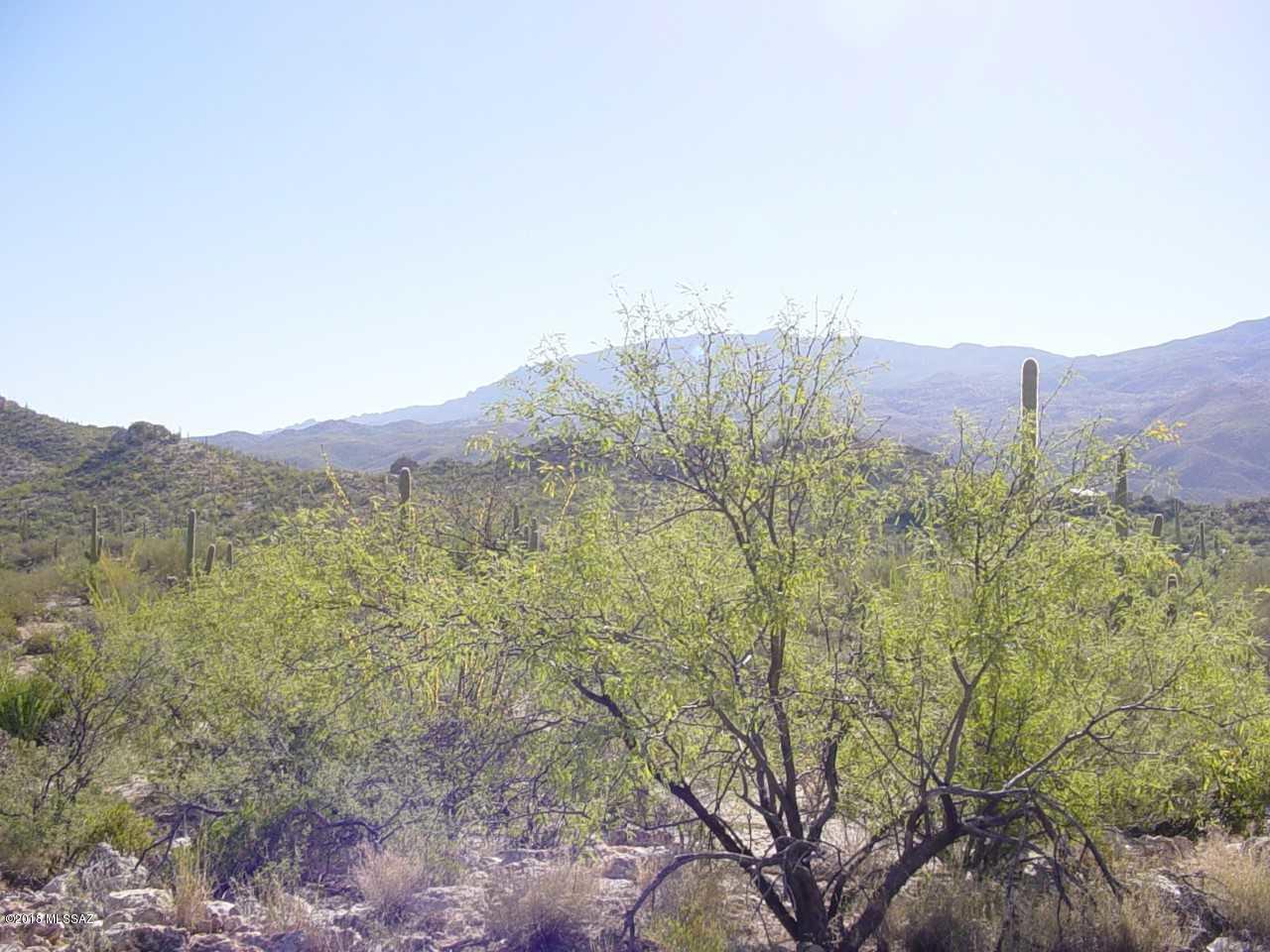 La Cebadilla Estates (1-161) - Land