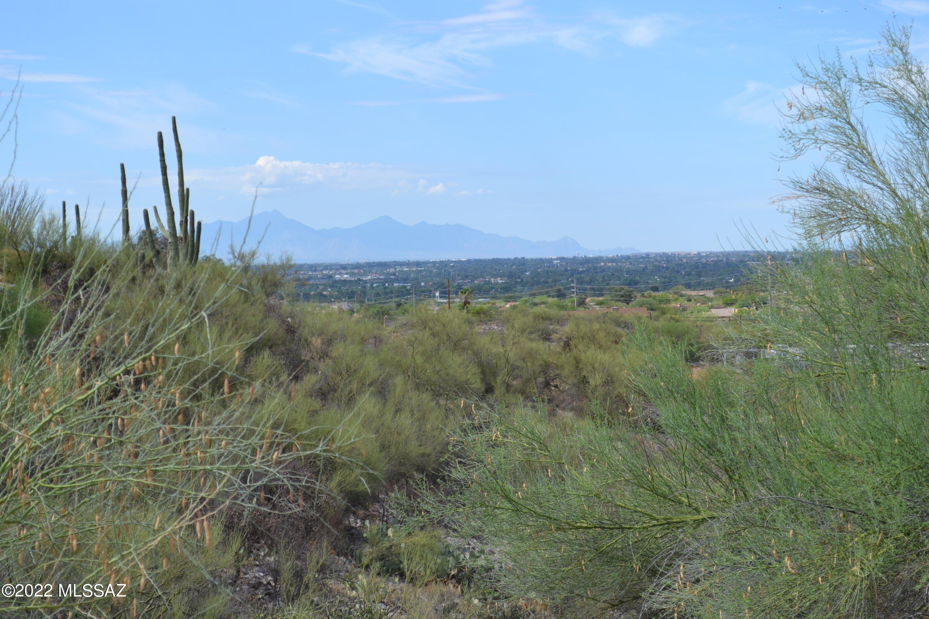 Bonita Ridge Amended Plat II (9,10,56-65,77-81) - Residential