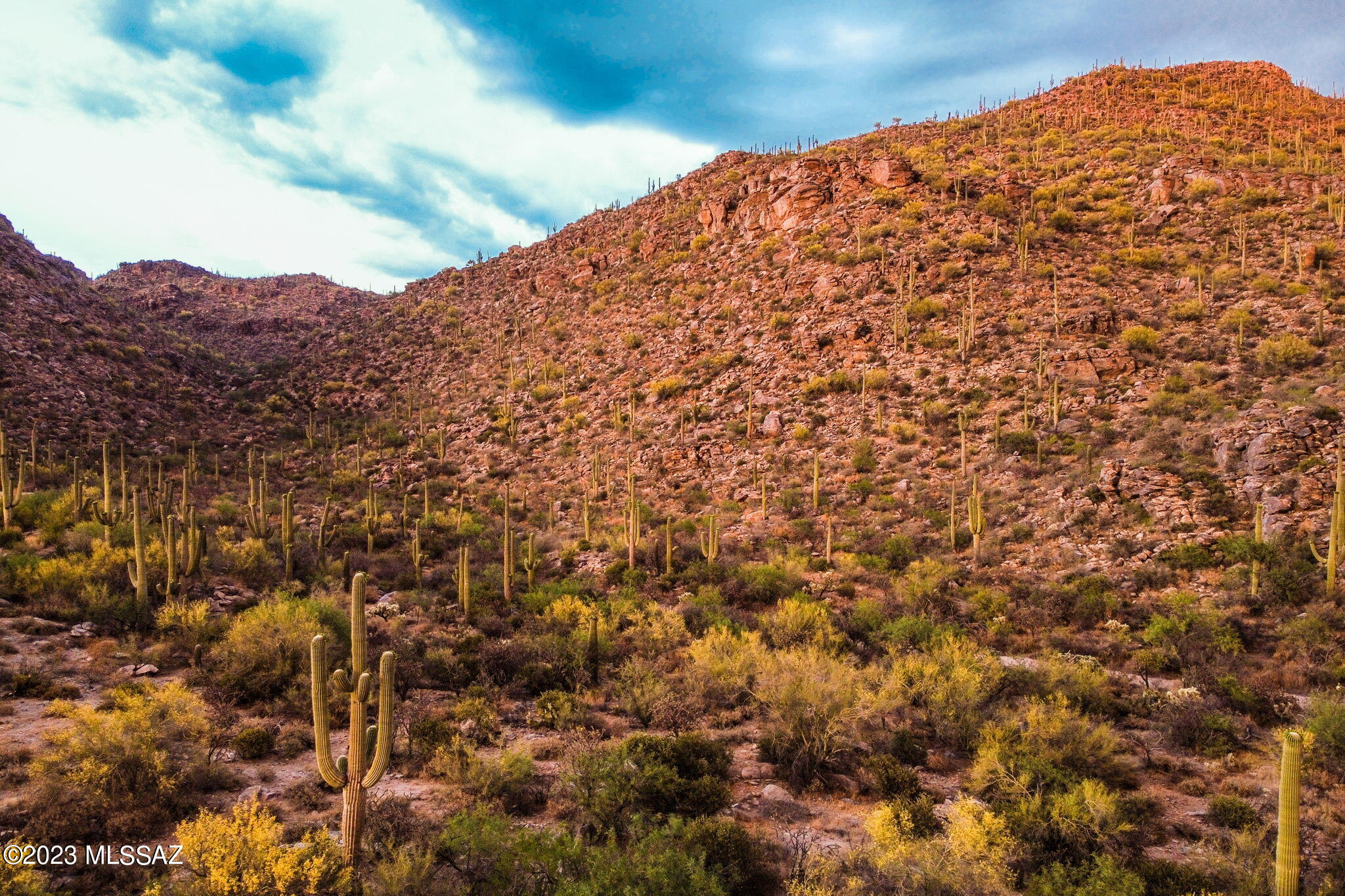 Canyon Pass IV-B At Dove Mountain - Residential