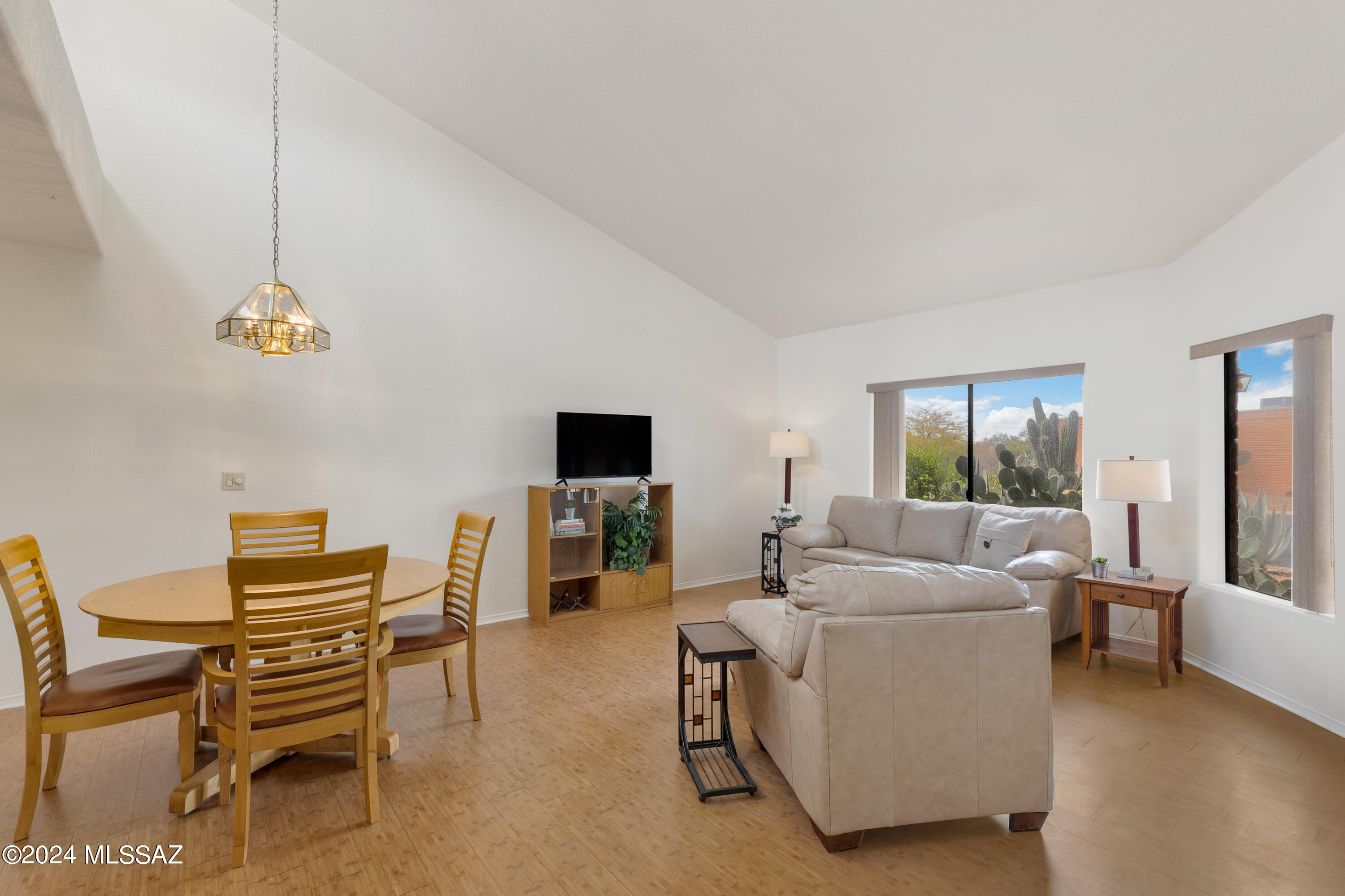 La Cholla Hills(1-313) - Residential