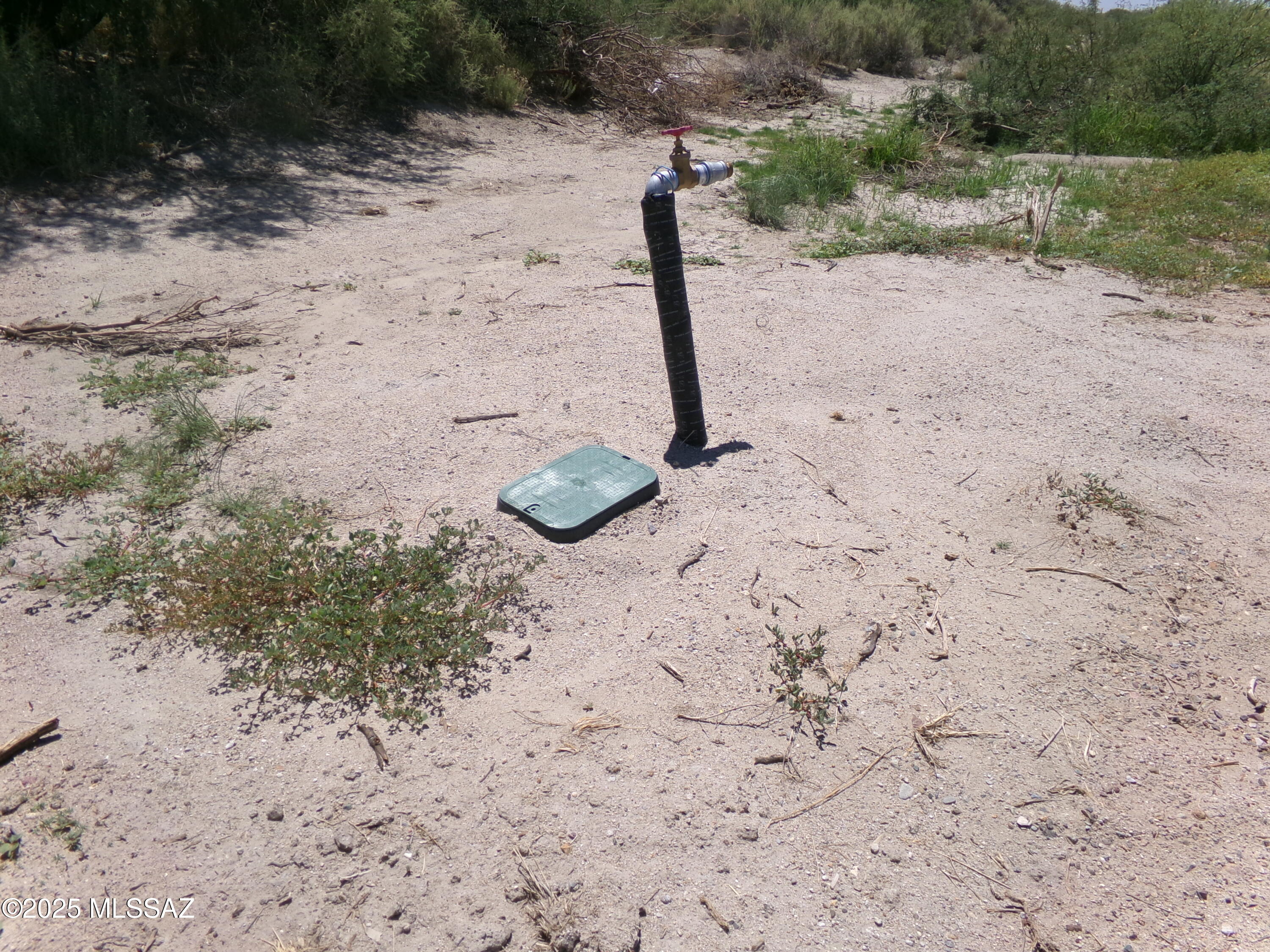 Out Of Pima County - Land