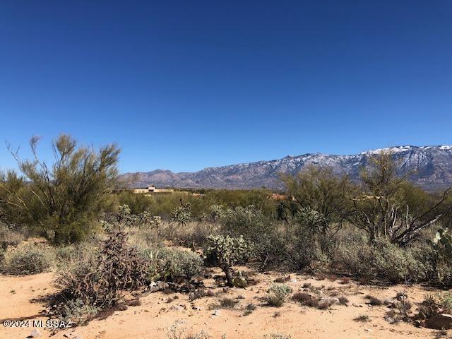 Honey Bee Ridge(The Estates At) - Land