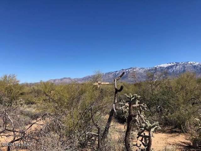 Honey Bee Ridge(The Estates At) - Land