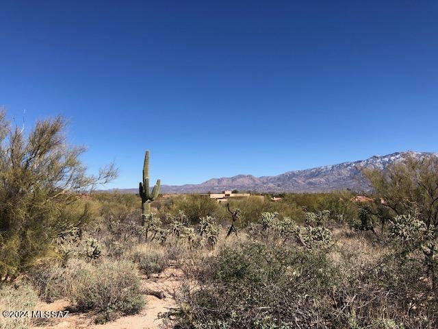 Honey Bee Ridge(The Estates At) - Land