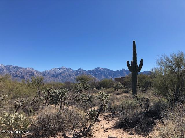 Honey Bee Ridge(The Estates At) - Land