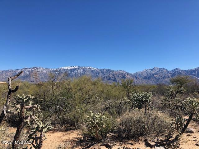 Fabulous 360 DEGREE VIEWS from FLAT, TOP OF LOT. Unobstructed PUSCH RIDGE, TORTOLITA MTNS and HONEY BEE CANYON views and even CITY LIGHTS at night! Great price for this 1 acre BEAUTY on the more DESIRABLE west side of Quiet Rain Dr, Gentle pad, elevated above the street lends itself to a design with breathtaking views from all directions. Popular, well maintained, ORO VALLEY subdivision with many MULTI-MILLION $ HOMES and just minutes from wonderful O.V. services, restaurants, golf/recreation hospital, etc. Looking for the BEST VIEW LOT CURRENTLY AVAILABLE in the neighborhood? Well here it is.
