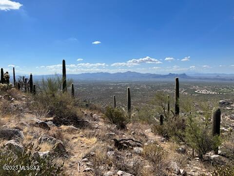 Moonlight Canyon at Saguaro Ranch Phase 2 - Land