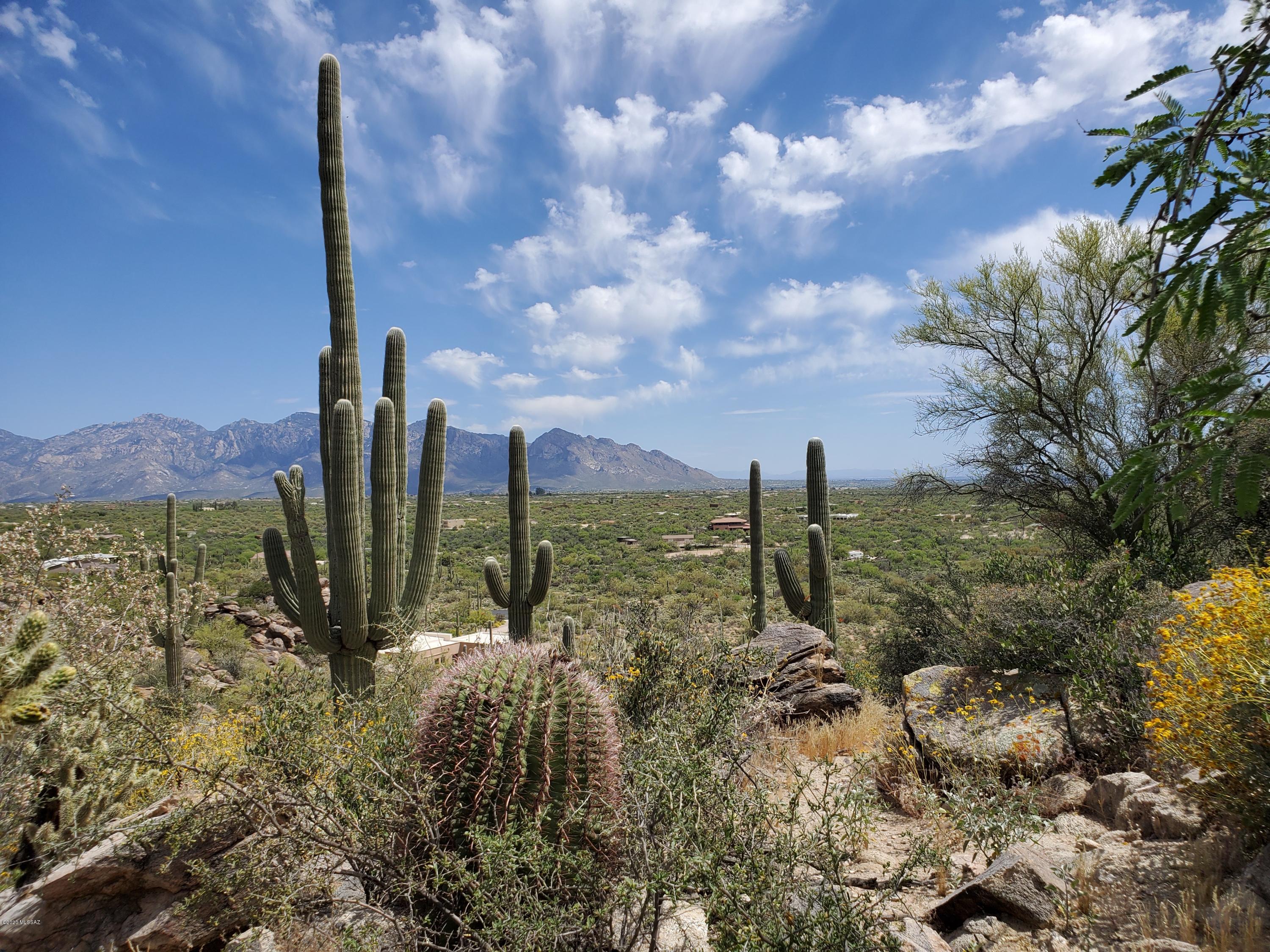 Moonlight Canyon at Saguaro Ranch Phase 2 - Residential