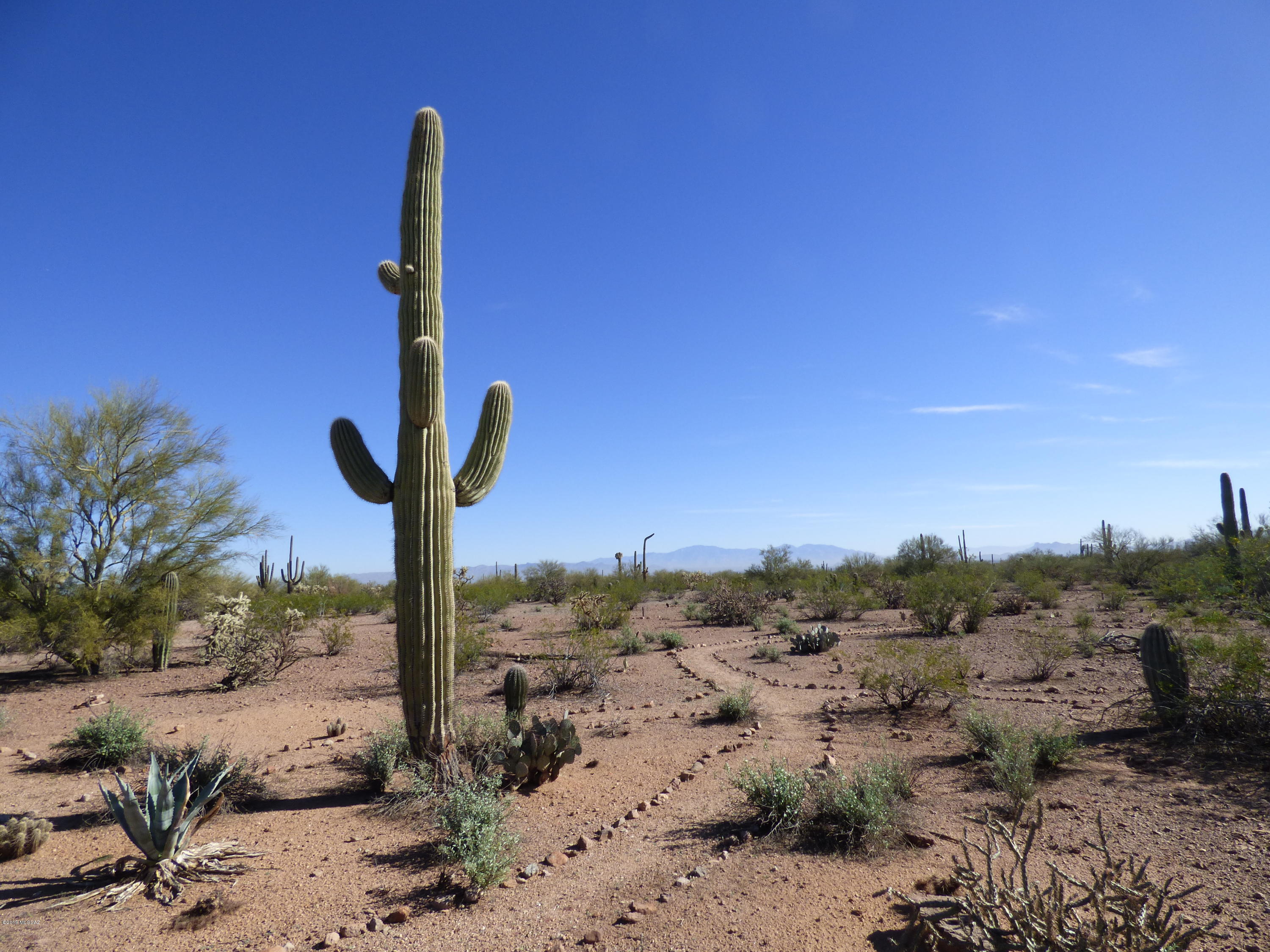 Opportunity to own 10 acres of natural desert in the one square mile enclave of residential property inside the Ironwood Forest National Monument. Property borders National and State land on two sides is fully fenced with gate and has a working, private well on site. The homes in this area are mostly site built, custom homes, and there is no HOA. Great property for a solar - ''off-grid'' home, bring in utilities from the area for a more conventional home, or bring your RV and stay on site while traveling or in town for the season. The privacy and beauty of this area is remarkable with views of the Catalina, Tortolita, and Tucson Mountains as well as Sombrero Peak, Ragged Peak and city lights in the distance - so stargazers are not disturbed.