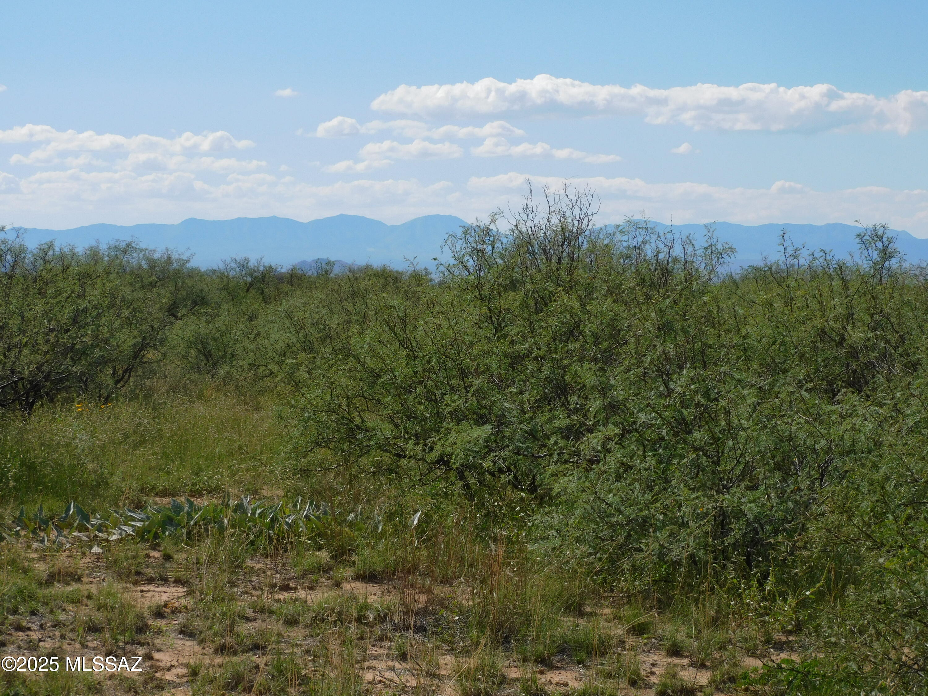 Turkey Creek Ranch - Land