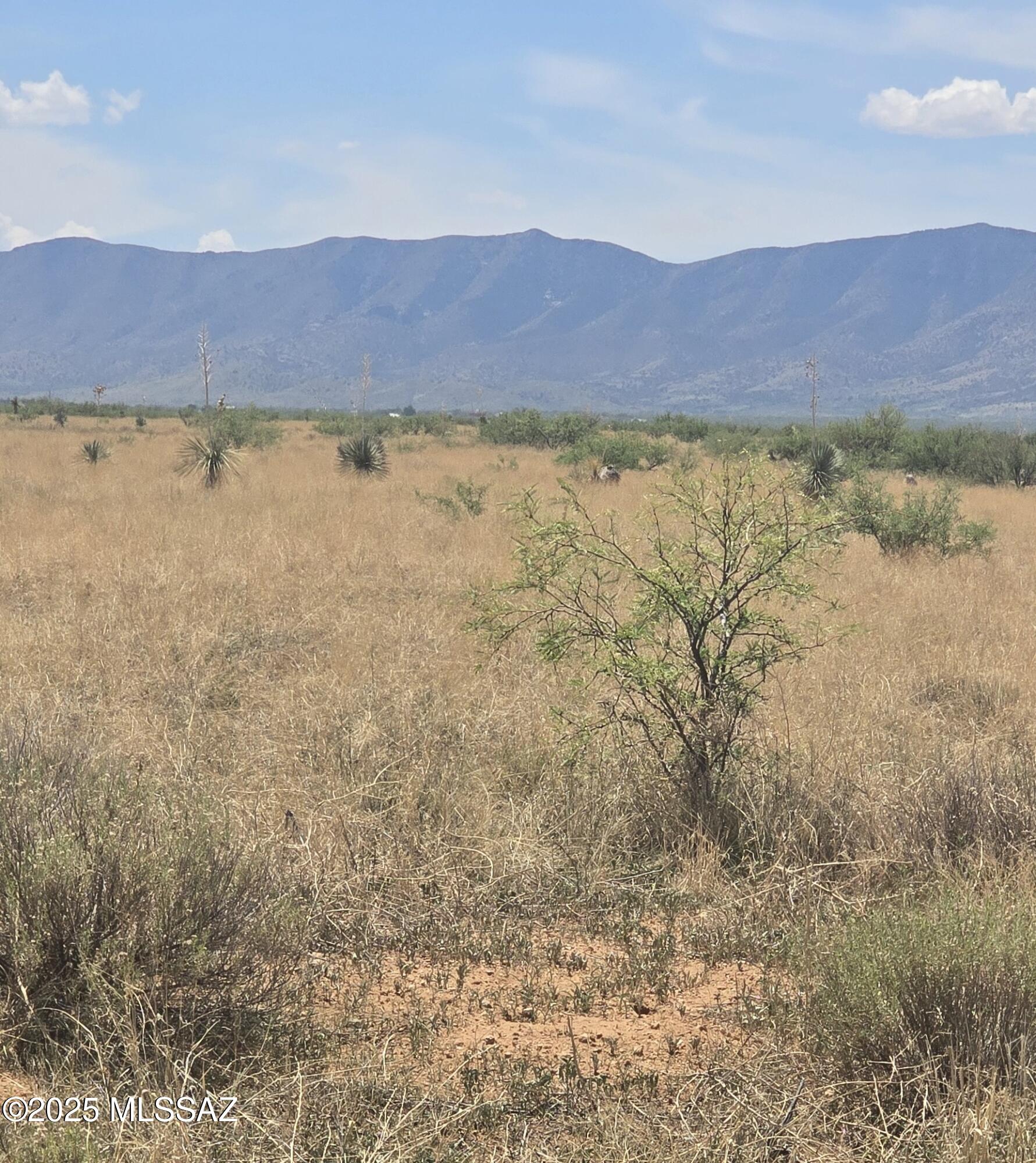 Arizona Sun Sites - Land
