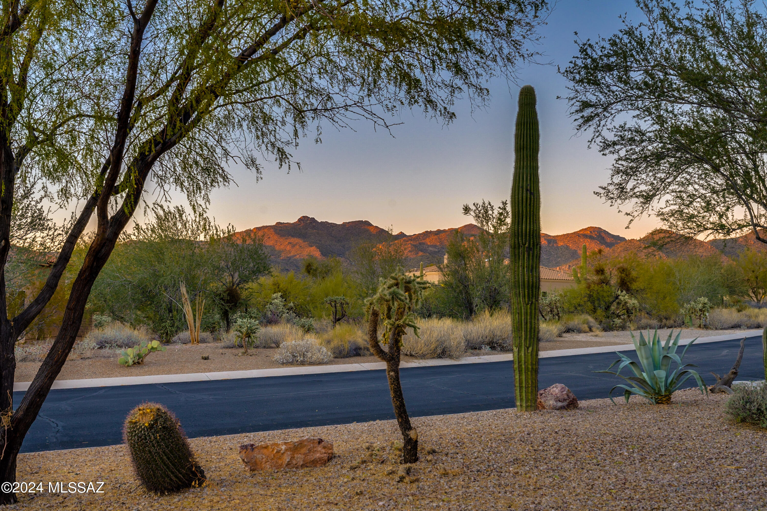Dos Lagos at Dove Mountain (1-91) - Residential