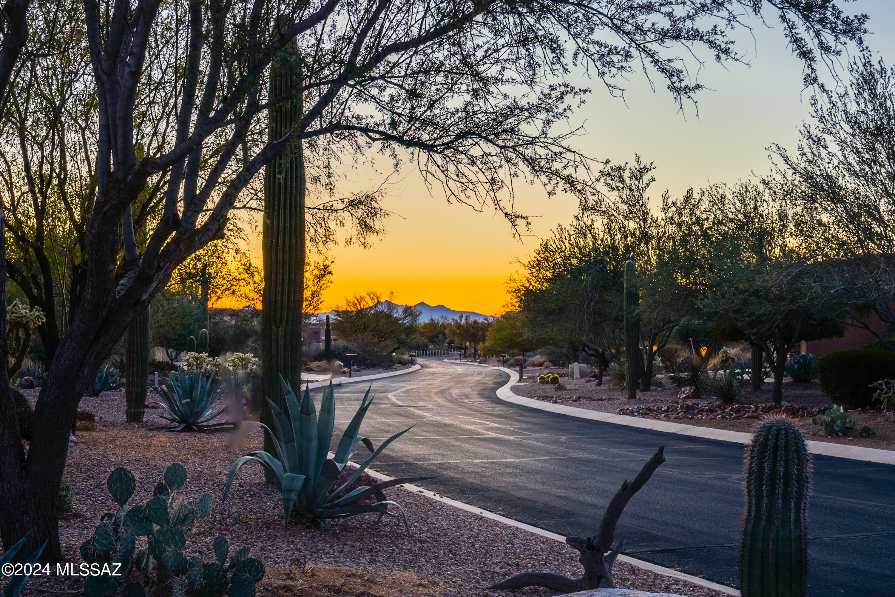 Dos Lagos at Dove Mountain (1-91) - Residential