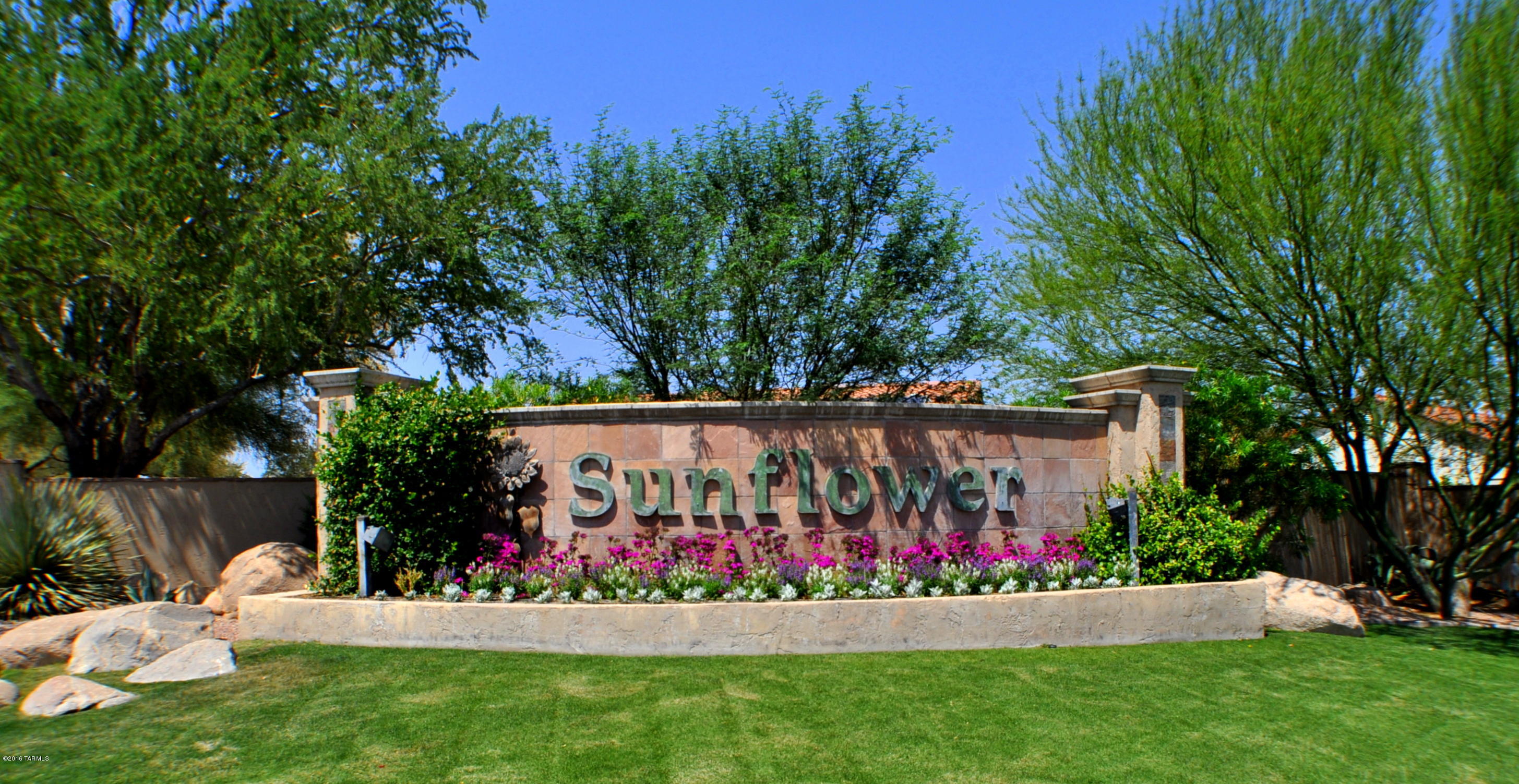 Continental Ranch Sunflower - Residential