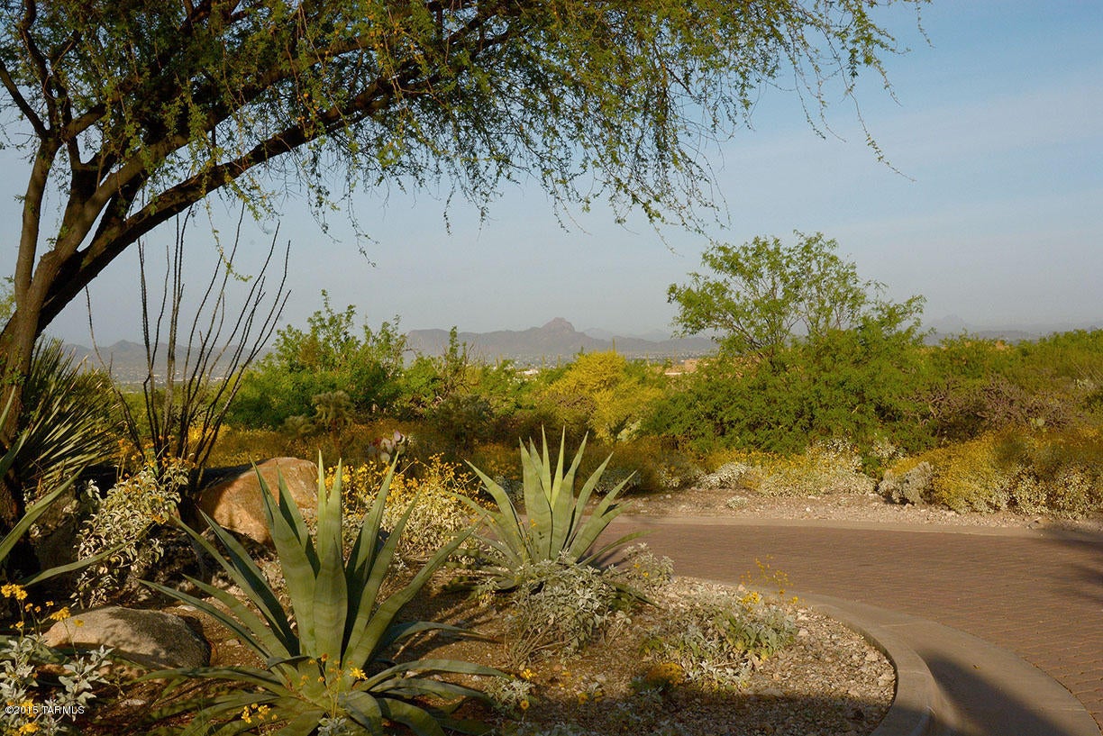 Pima Canyon Estates (30,33,96-102,115,124-127,136-139,147-151,16) - Land