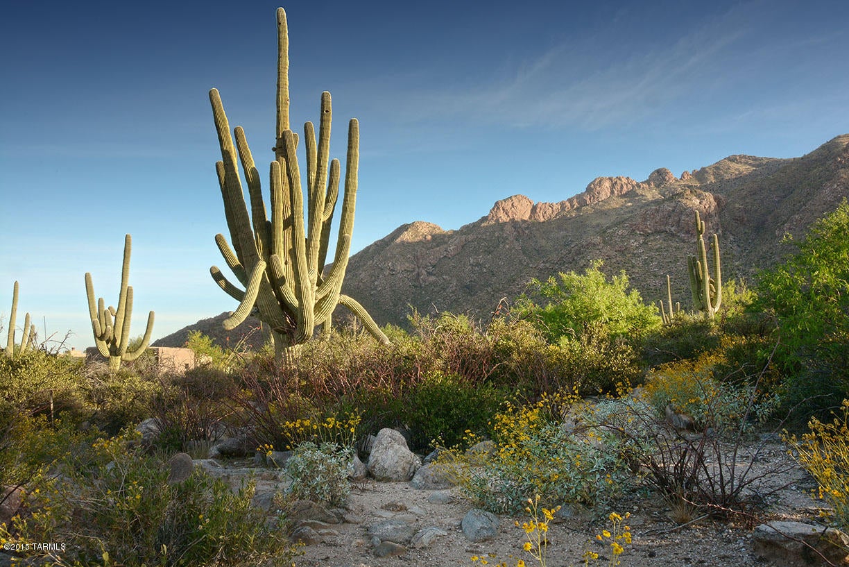 Pima Canyon Estates (30,33,96-102,115,124-127,136-139,147-151,16) - Land