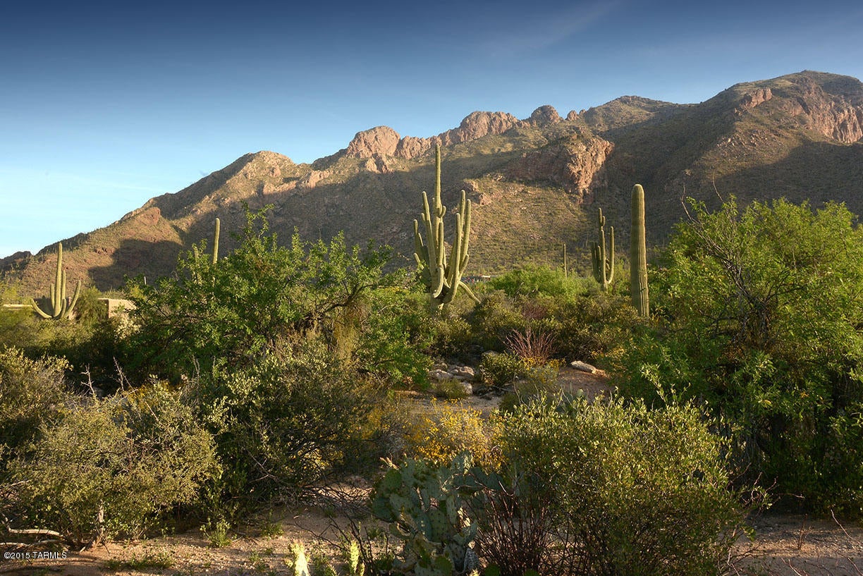 Pima Canyon Estates (30,33,96-102,115,124-127,136-139,147-151,16) - Land