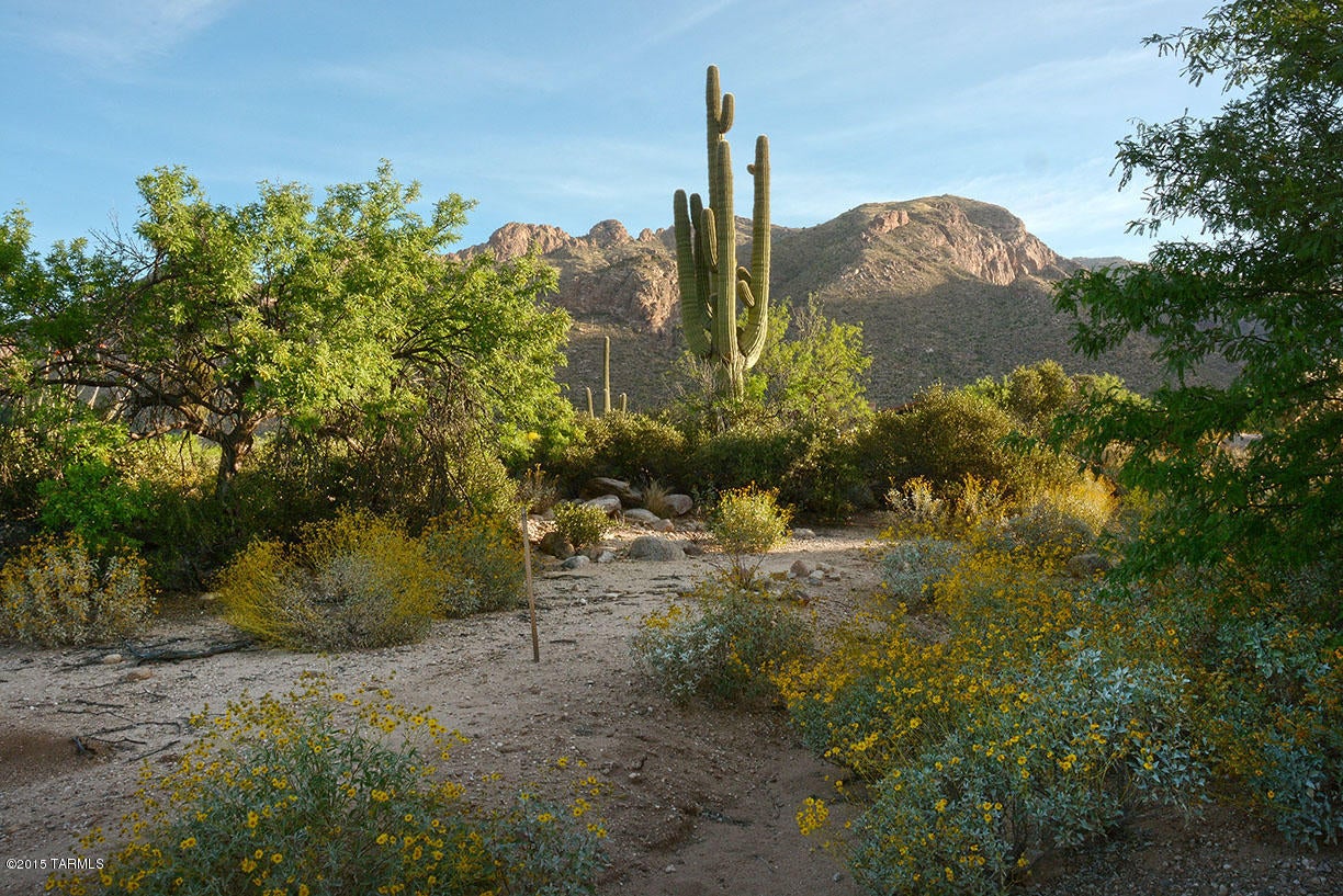 Pima Canyon Estates (30,33,96-102,115,124-127,136-139,147-151,16) - Land