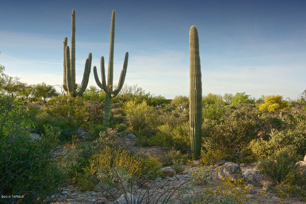 Pima Canyon Estates (30,33,96-102,115,124-127,136-139,147-151,16) - Land