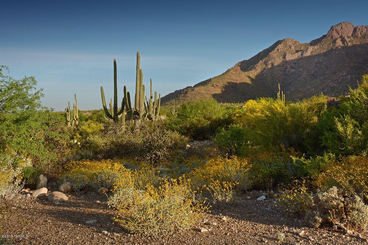 Pima Canyon Estates (30,33,96-102,115,124-127,136-139,147-151,16) - Land